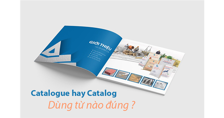 Catalogue hay Catalog? Các loại Catalog phổ biến hiện nay