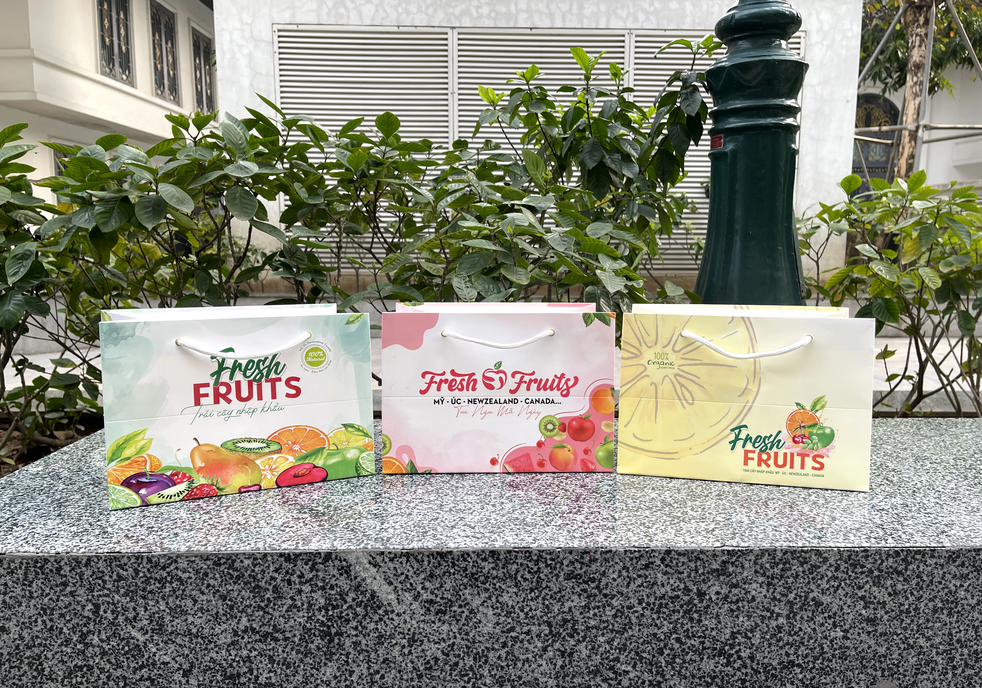 Mẫu túi giấy hot nhất cho trái cây nhập khẩu năm nay