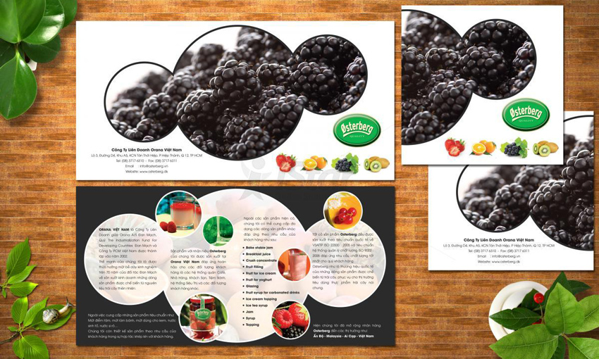 catalogue-bao-bi-thuc-pham-2