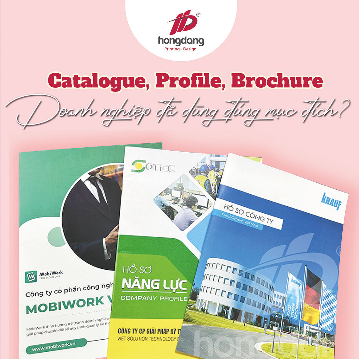 Catalogue, Profile và Brochure - Doanh nghiệp đã dùng đúng mục đích