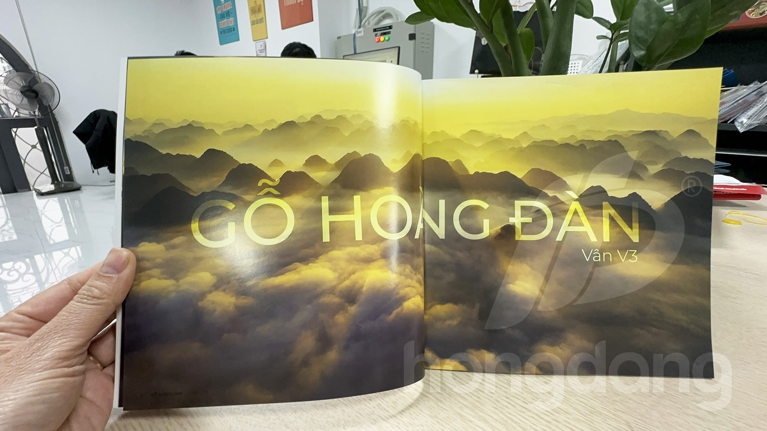 in-catalogue-go-minh-long-21-