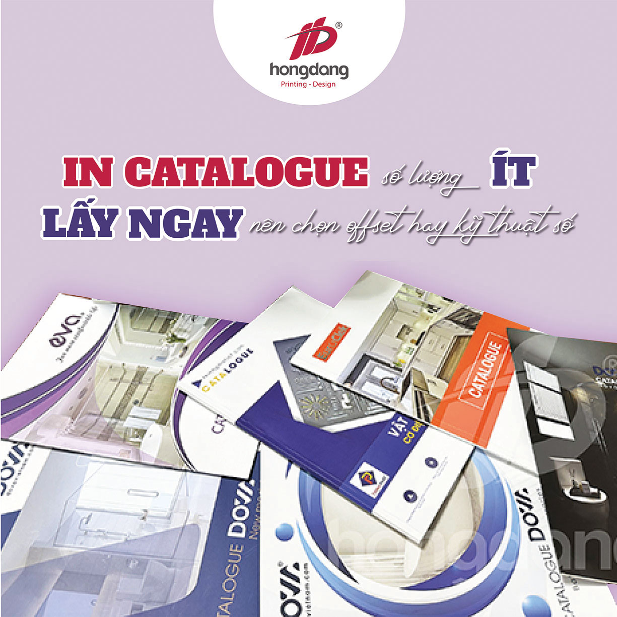 In Catalogue số lượng ít – Lấy ngay chọn in offset hay in kỹ thuật số?