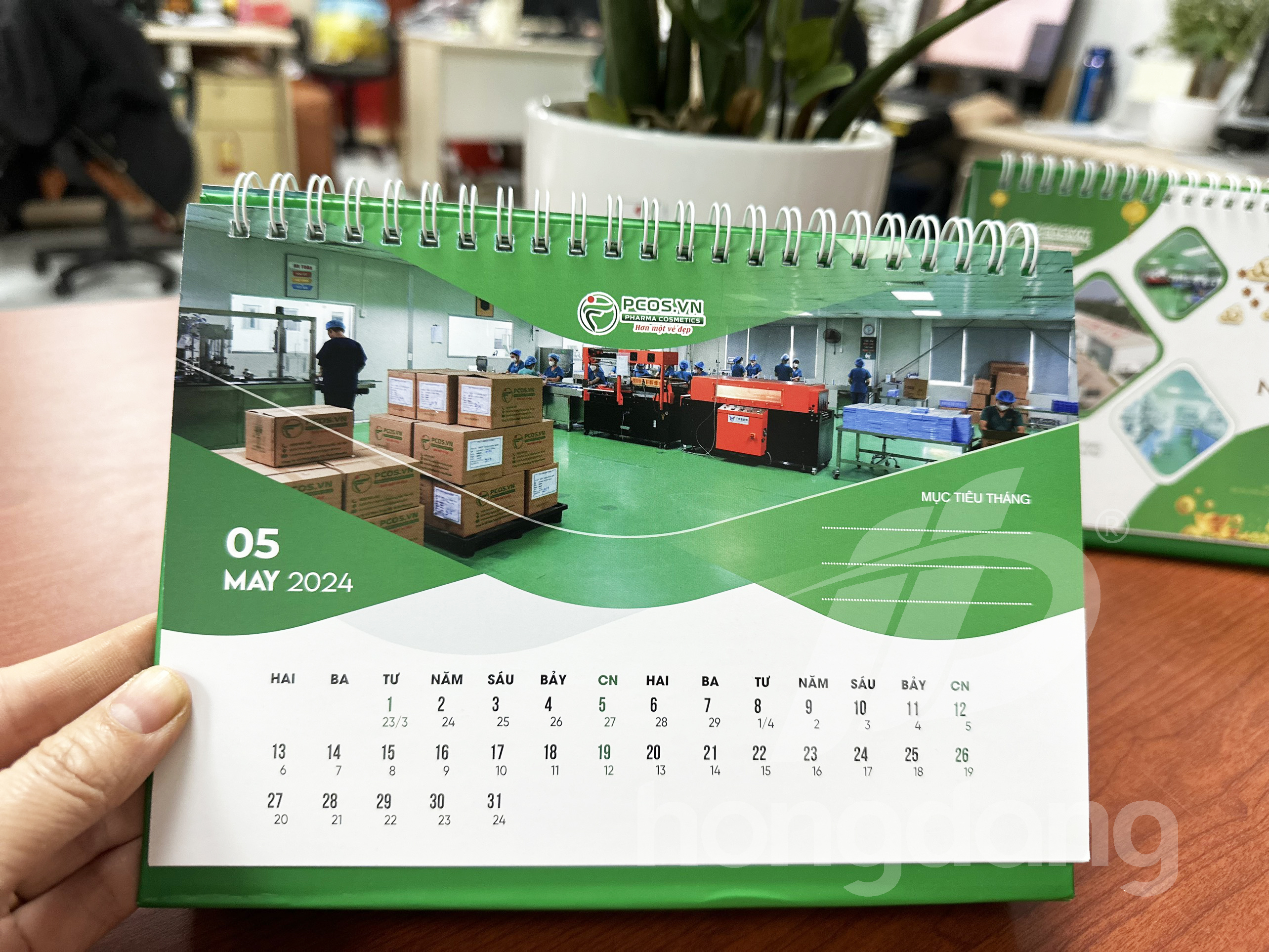 in-lich-de-ban-pcos-18-