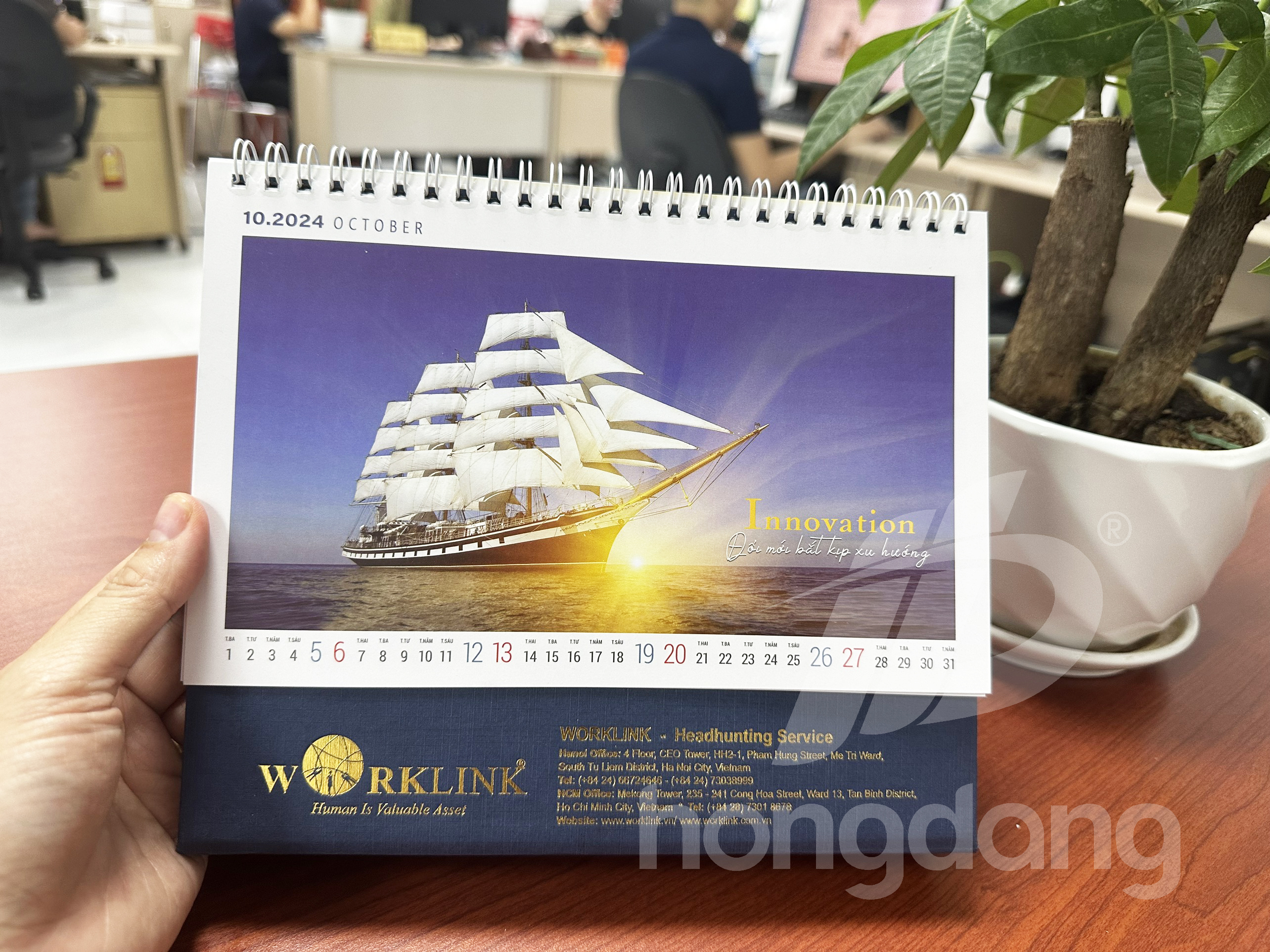 in-lich-de-ban-phoi-san-2024-12-