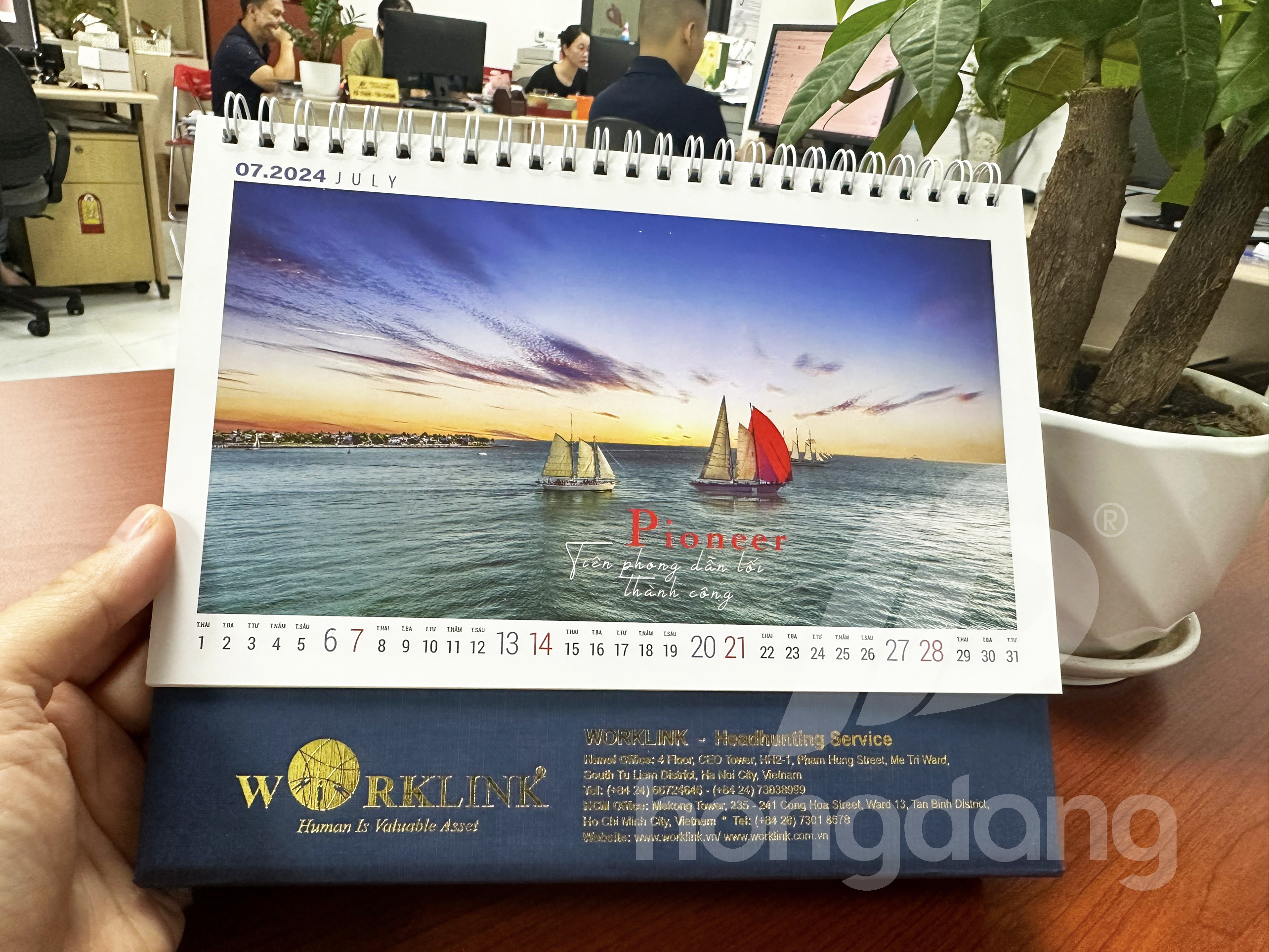 in-lich-de-ban-phoi-san-2024-17-