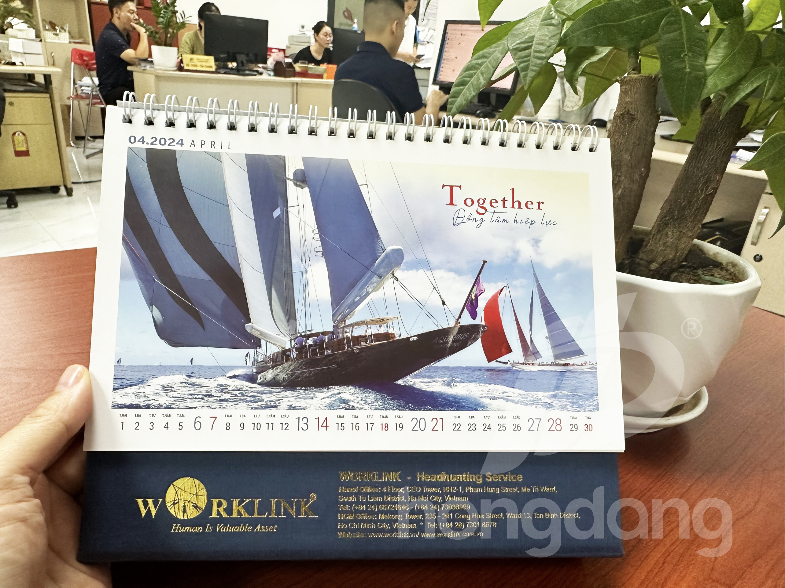 in-lich-de-ban-phoi-san-2024-19-