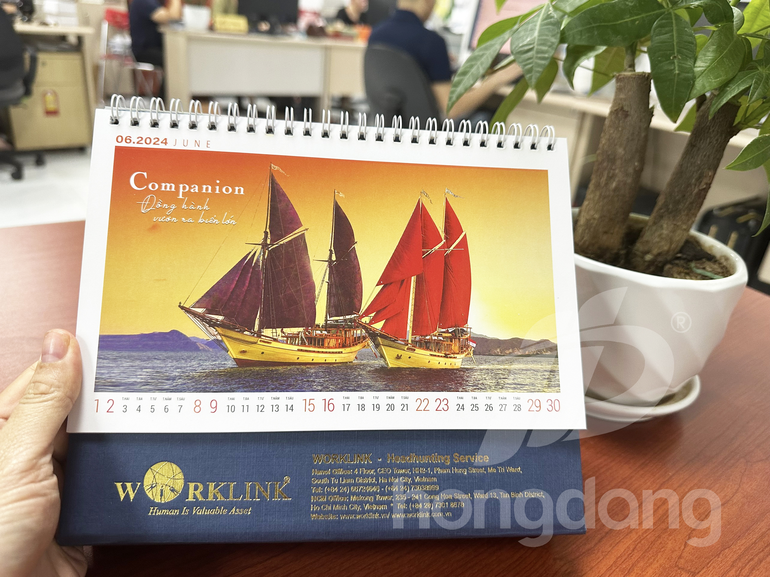 in-lich-de-ban-phoi-san-2024-20-