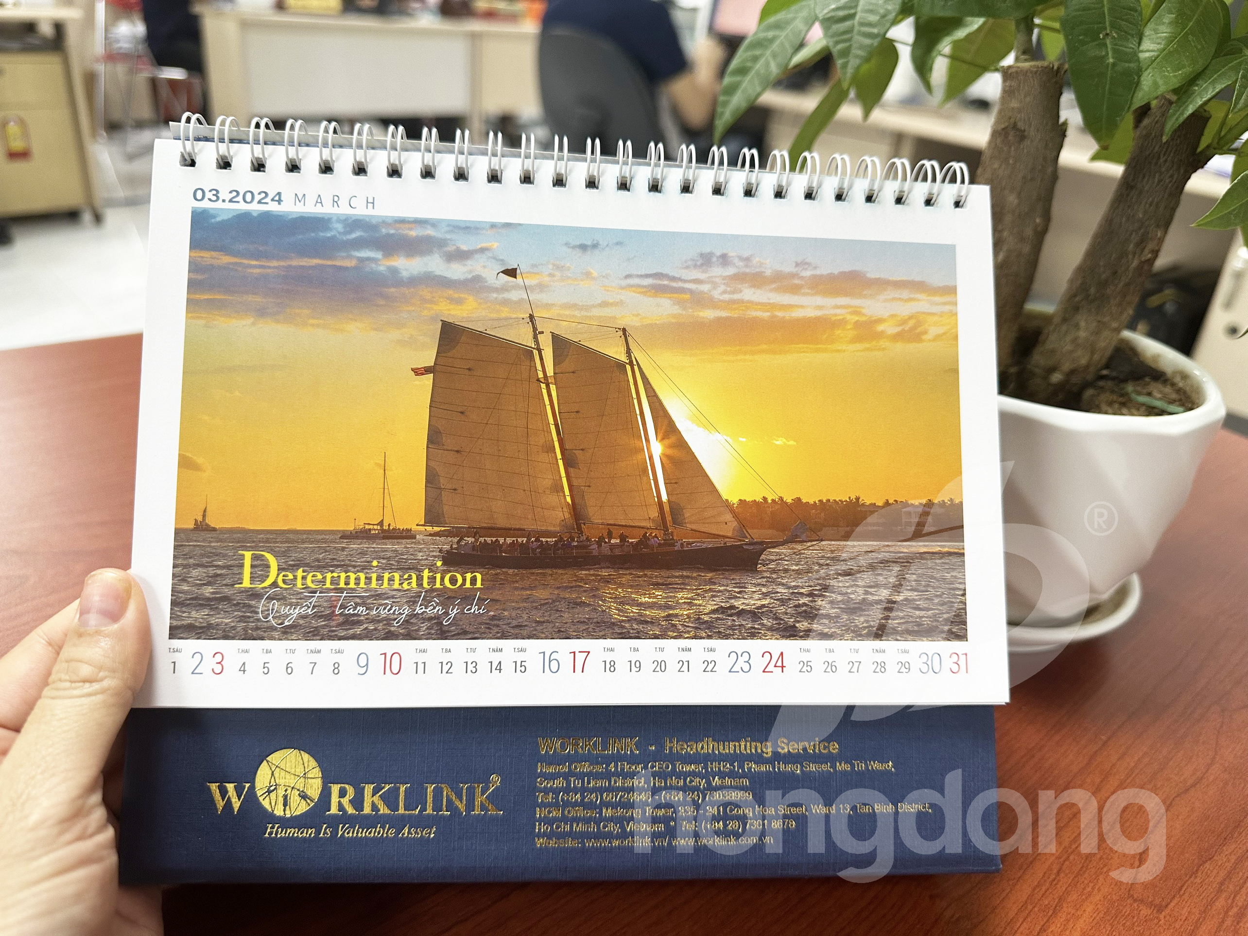 in-lich-de-ban-phoi-san-2024-21-