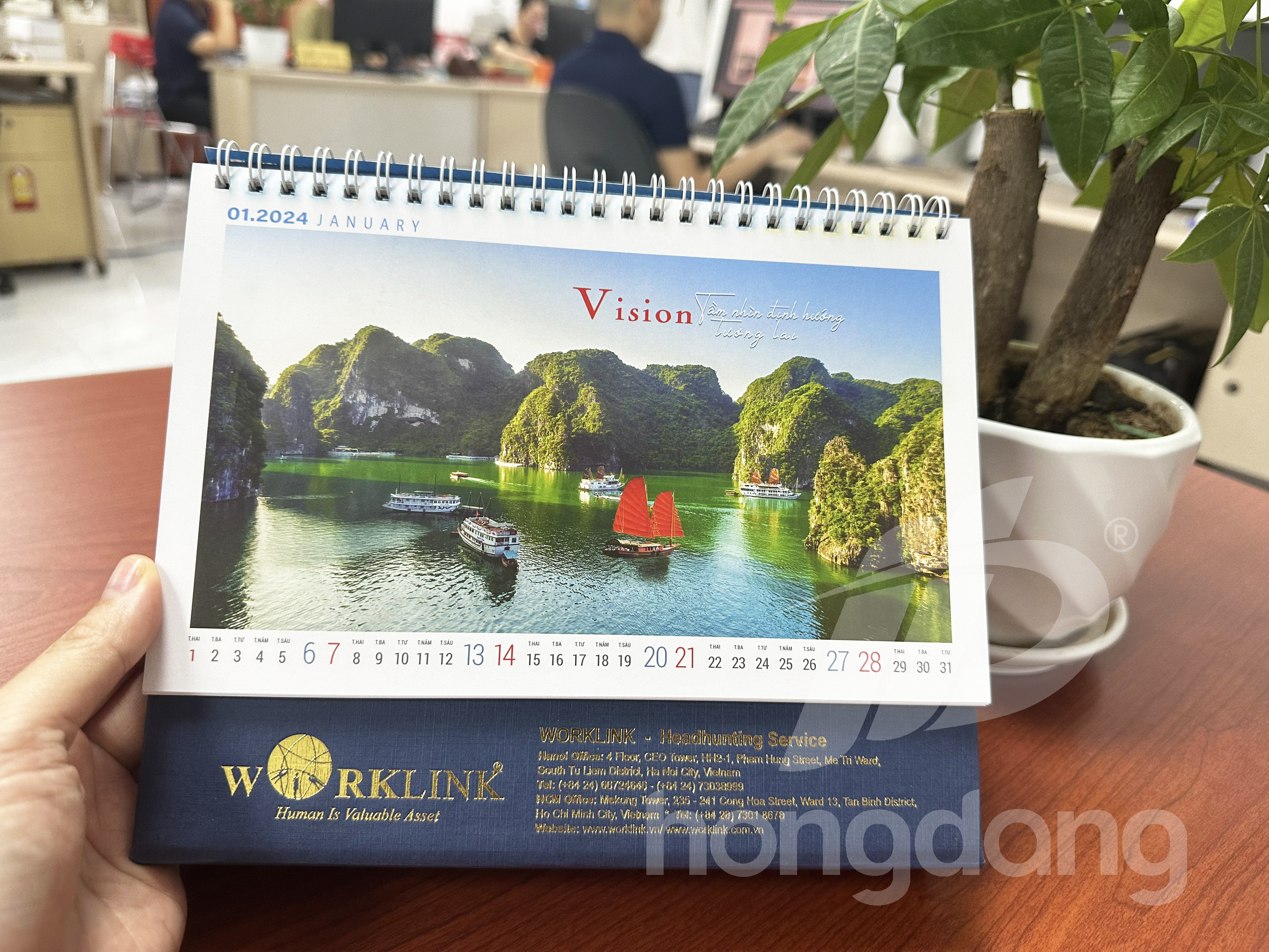 in-lich-de-ban-phoi-san-2024-22-