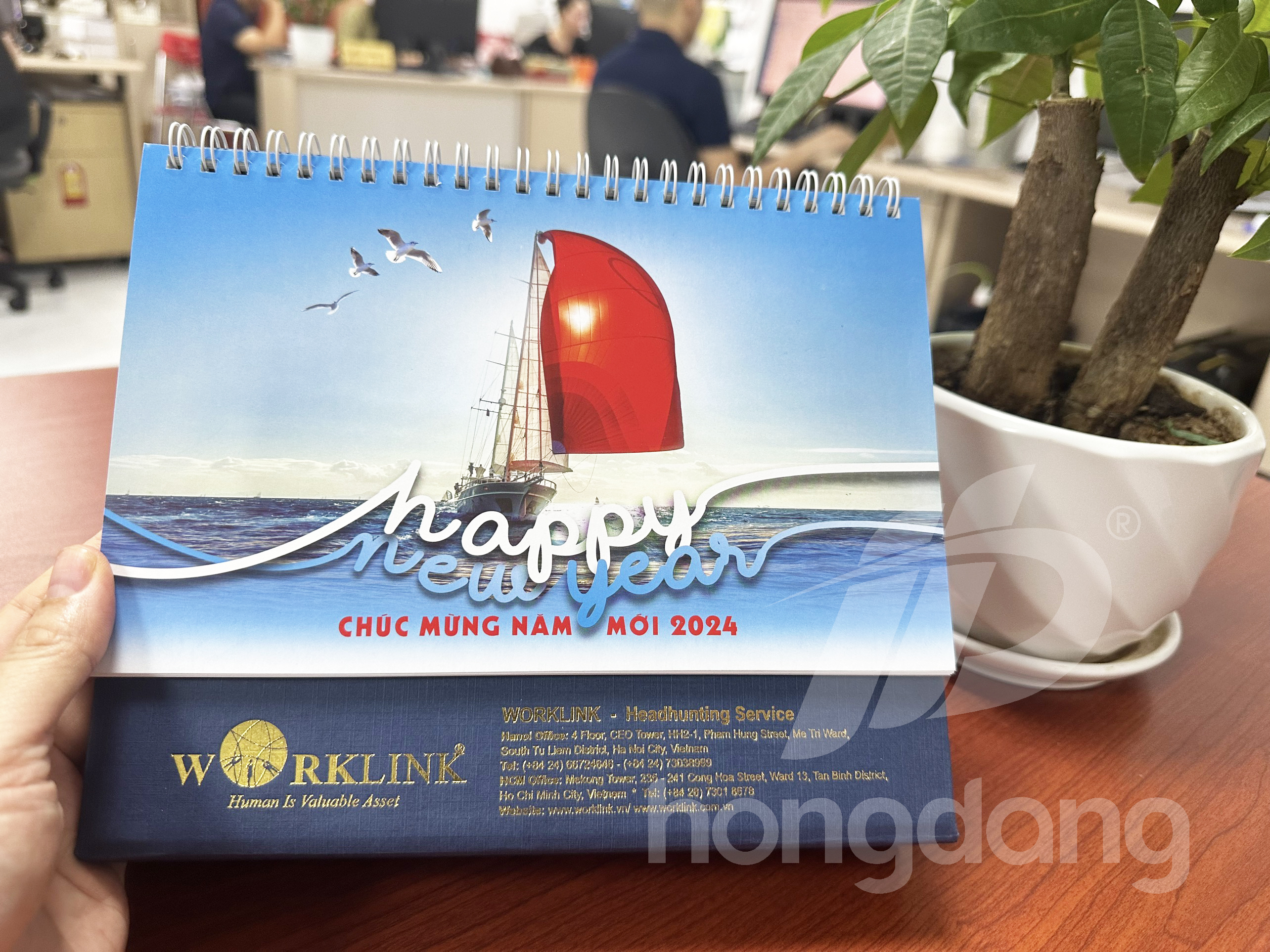 in-lich-de-ban-phoi-san-2024-23-