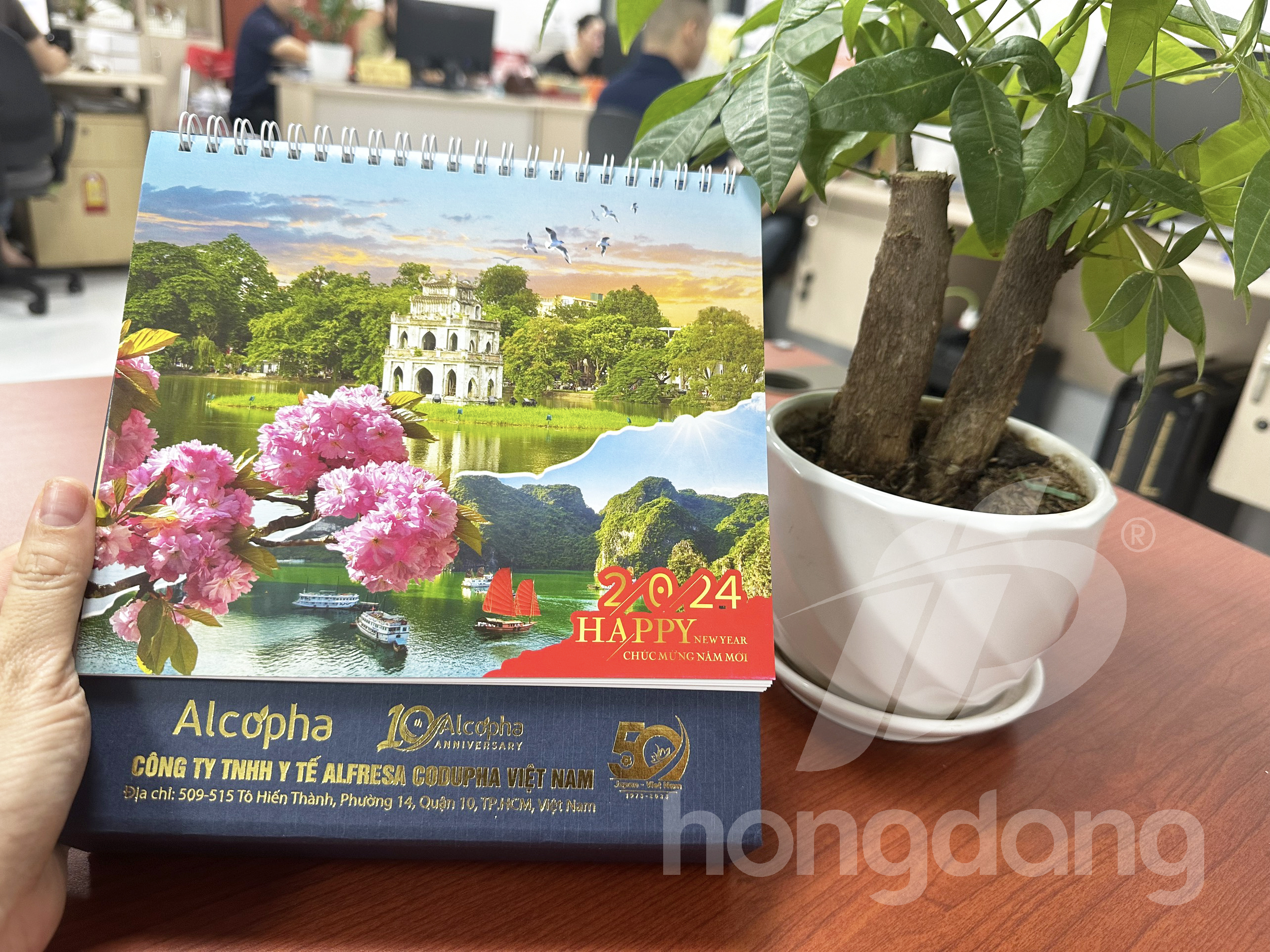 in-lich-de-ban-phoi-san-2024-25-