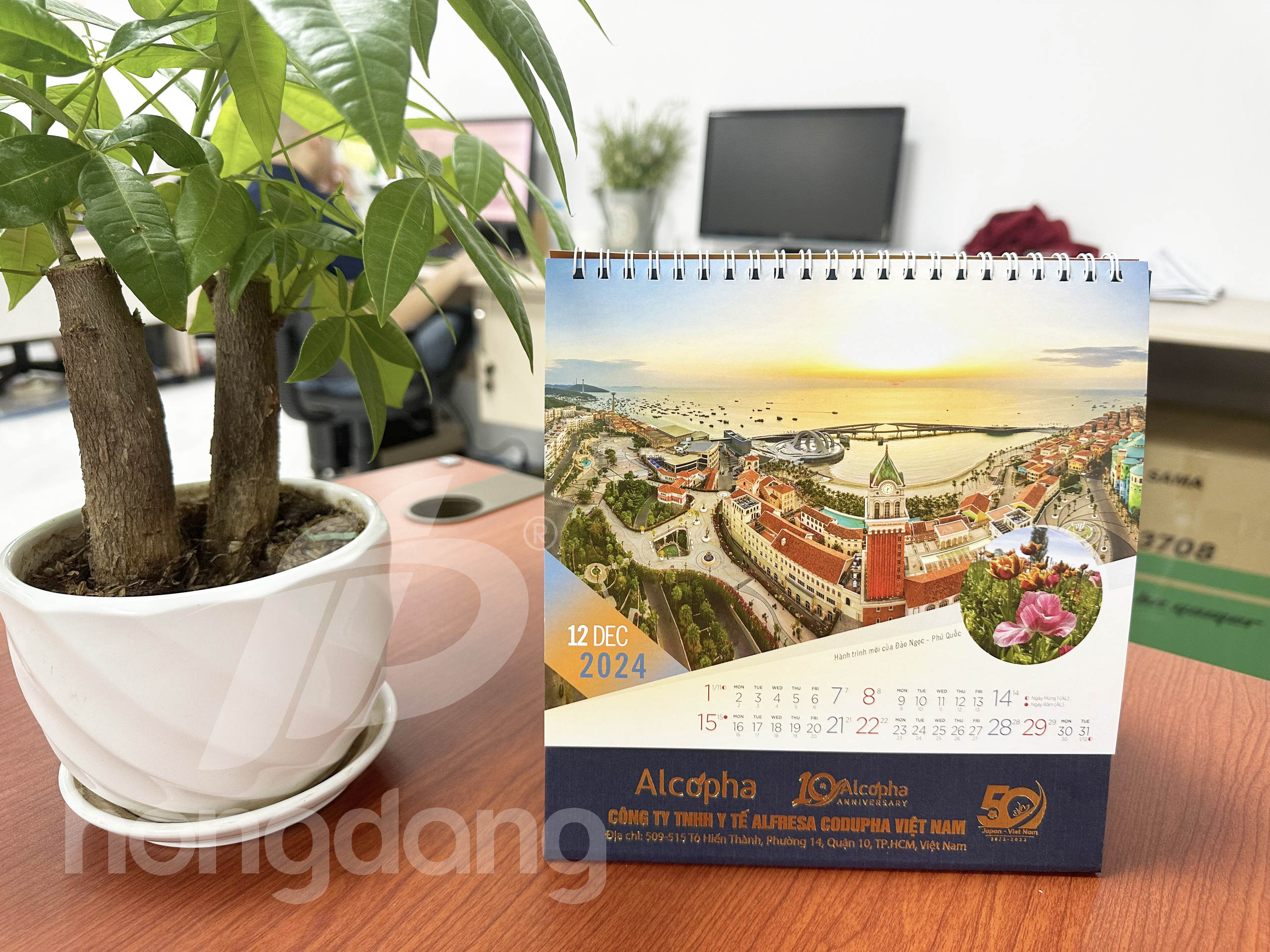 in-lich-de-ban-phoi-san-2024-26-