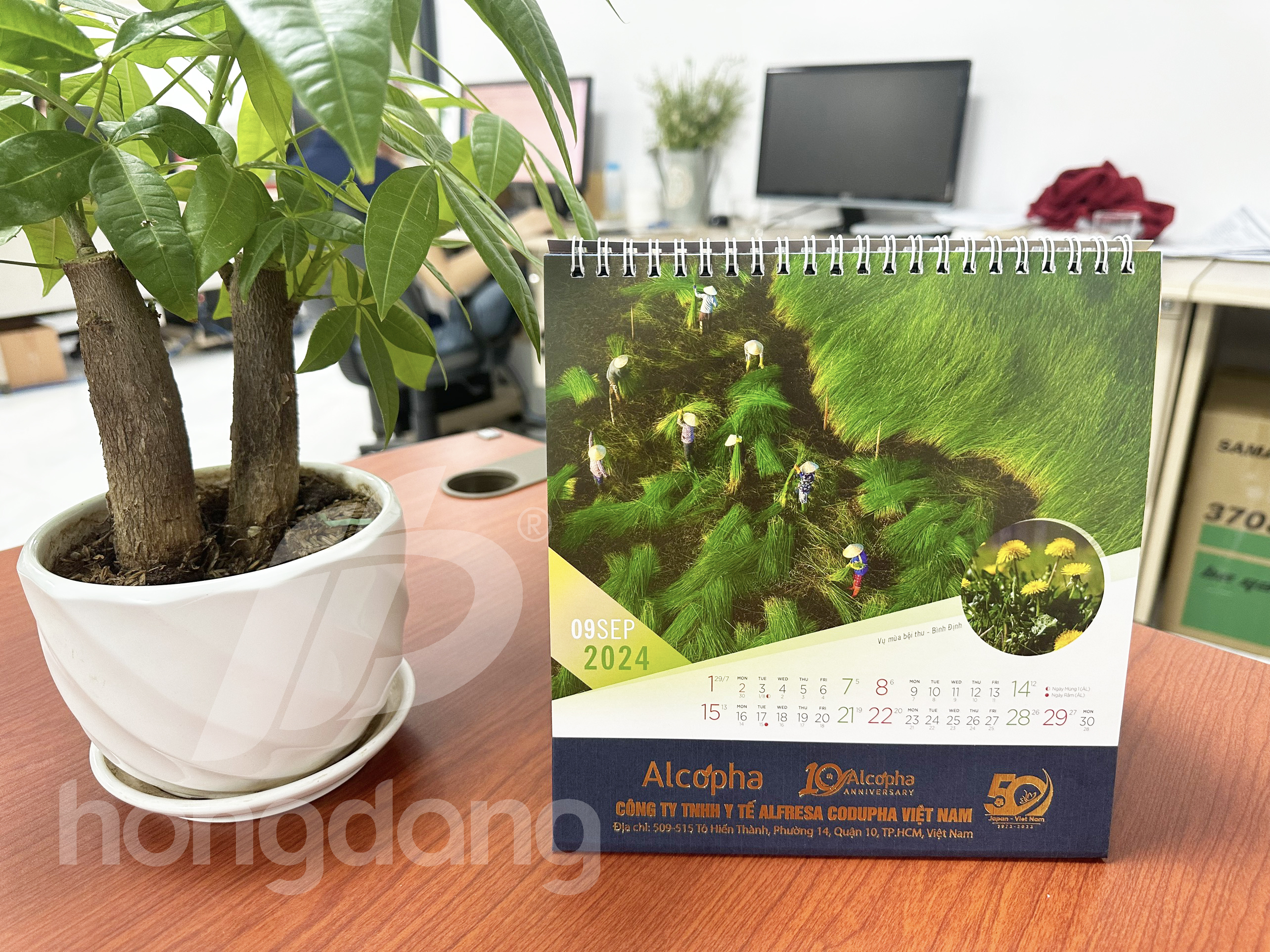 in-lich-de-ban-phoi-san-2024-27-