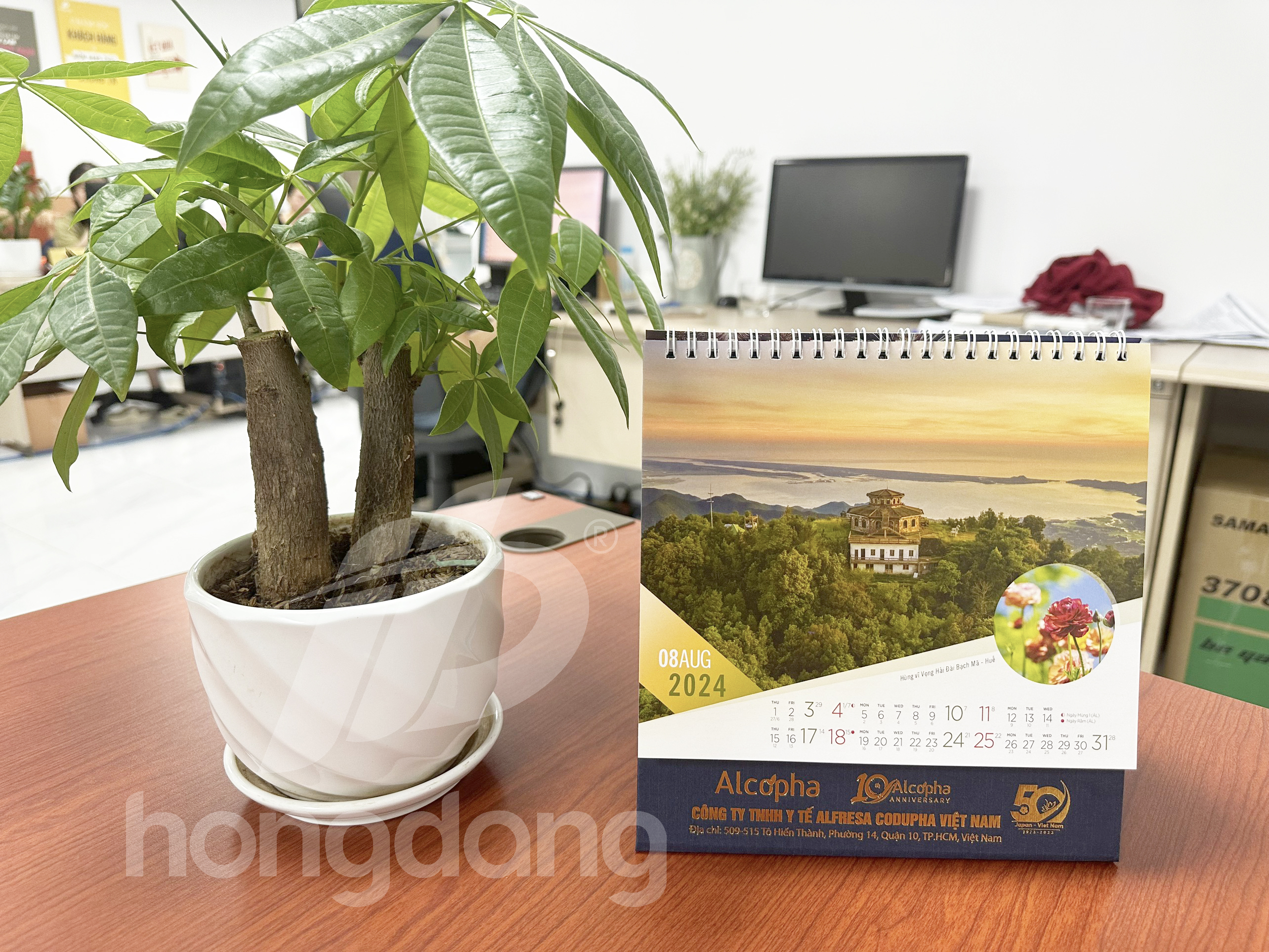 in-lich-de-ban-phoi-san-2024-28-