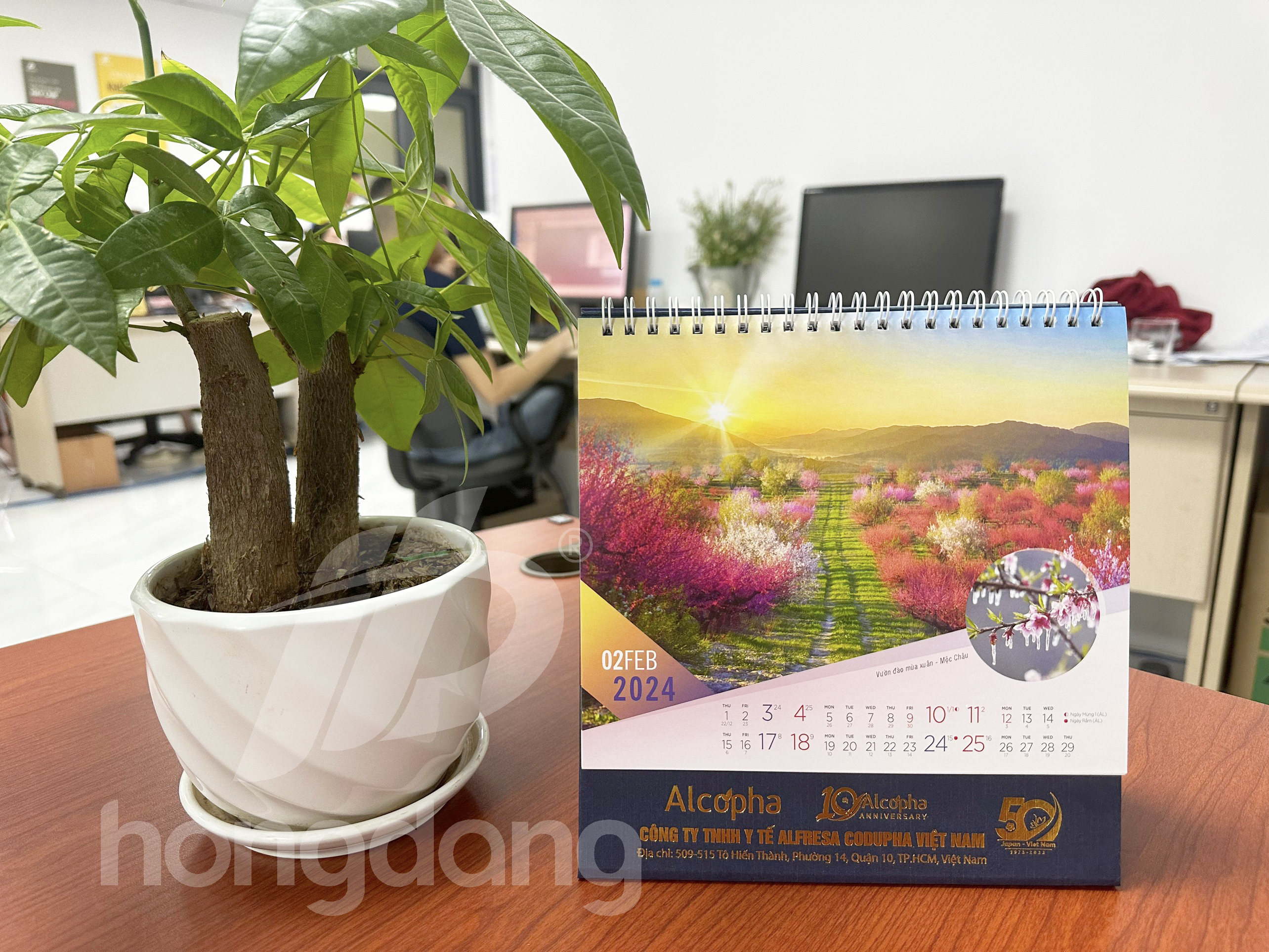 in-lich-de-ban-phoi-san-2024-32-