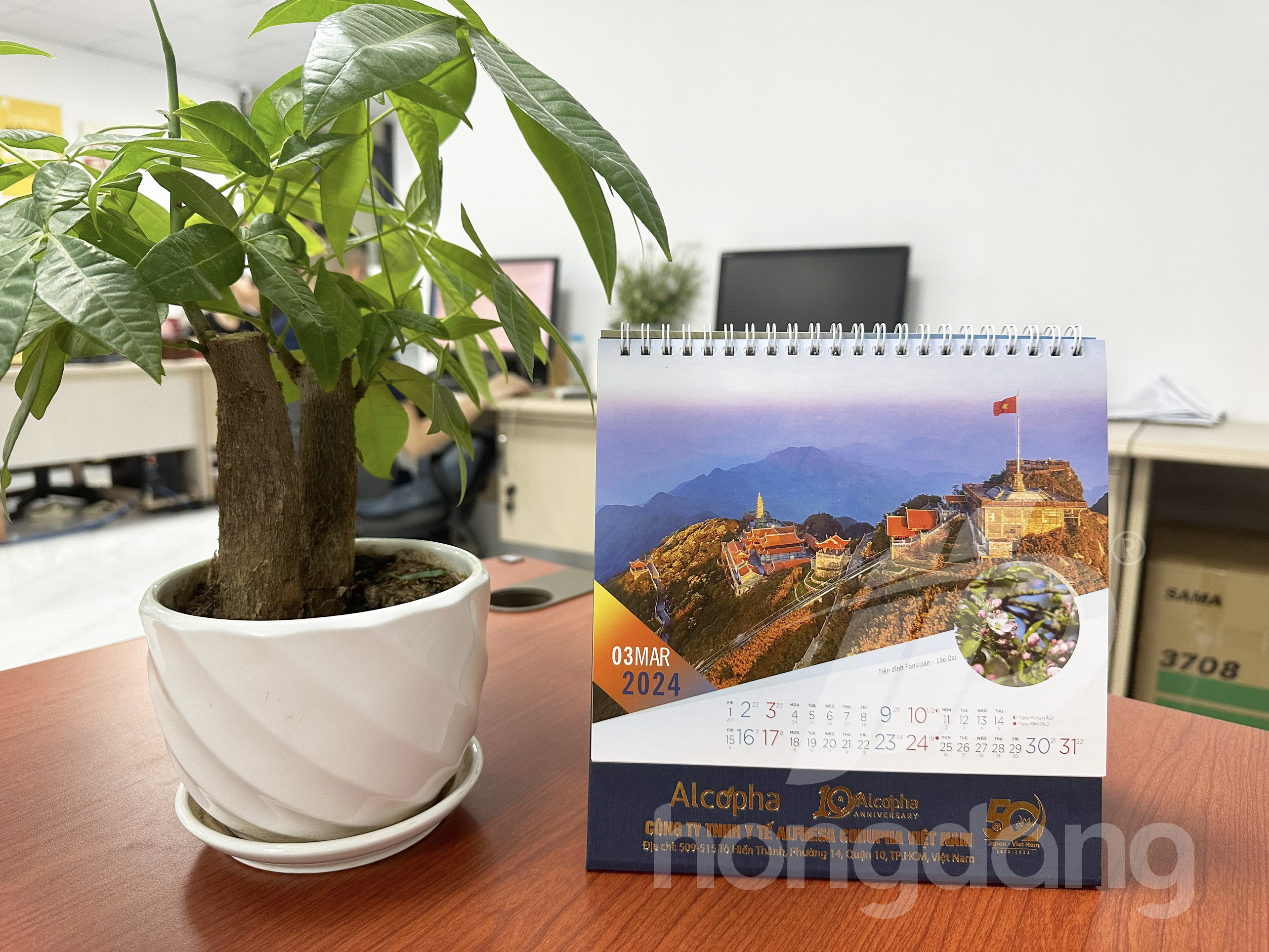 in-lich-de-ban-phoi-san-2024-37-