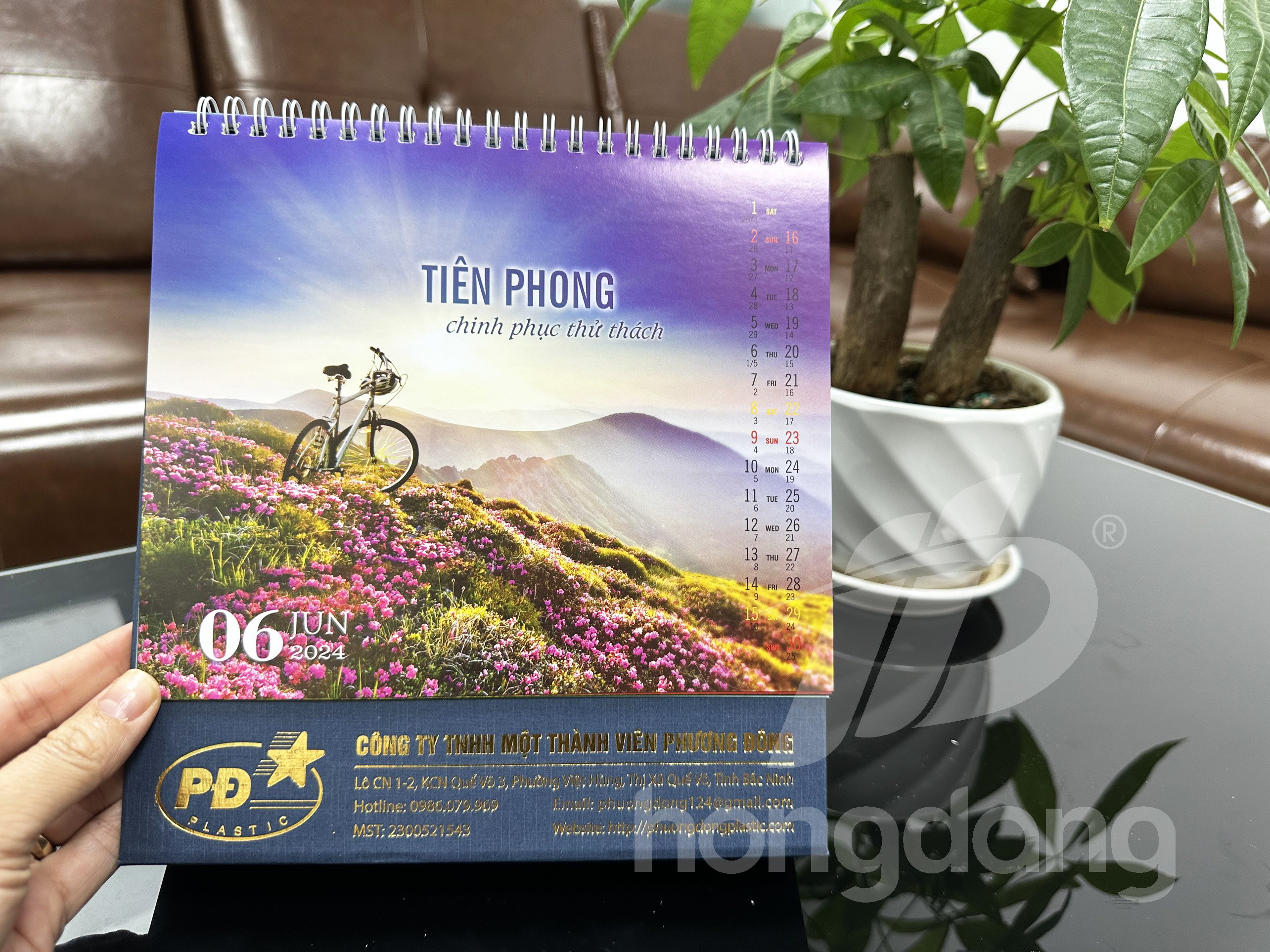 in-lich-tet-2024-79-