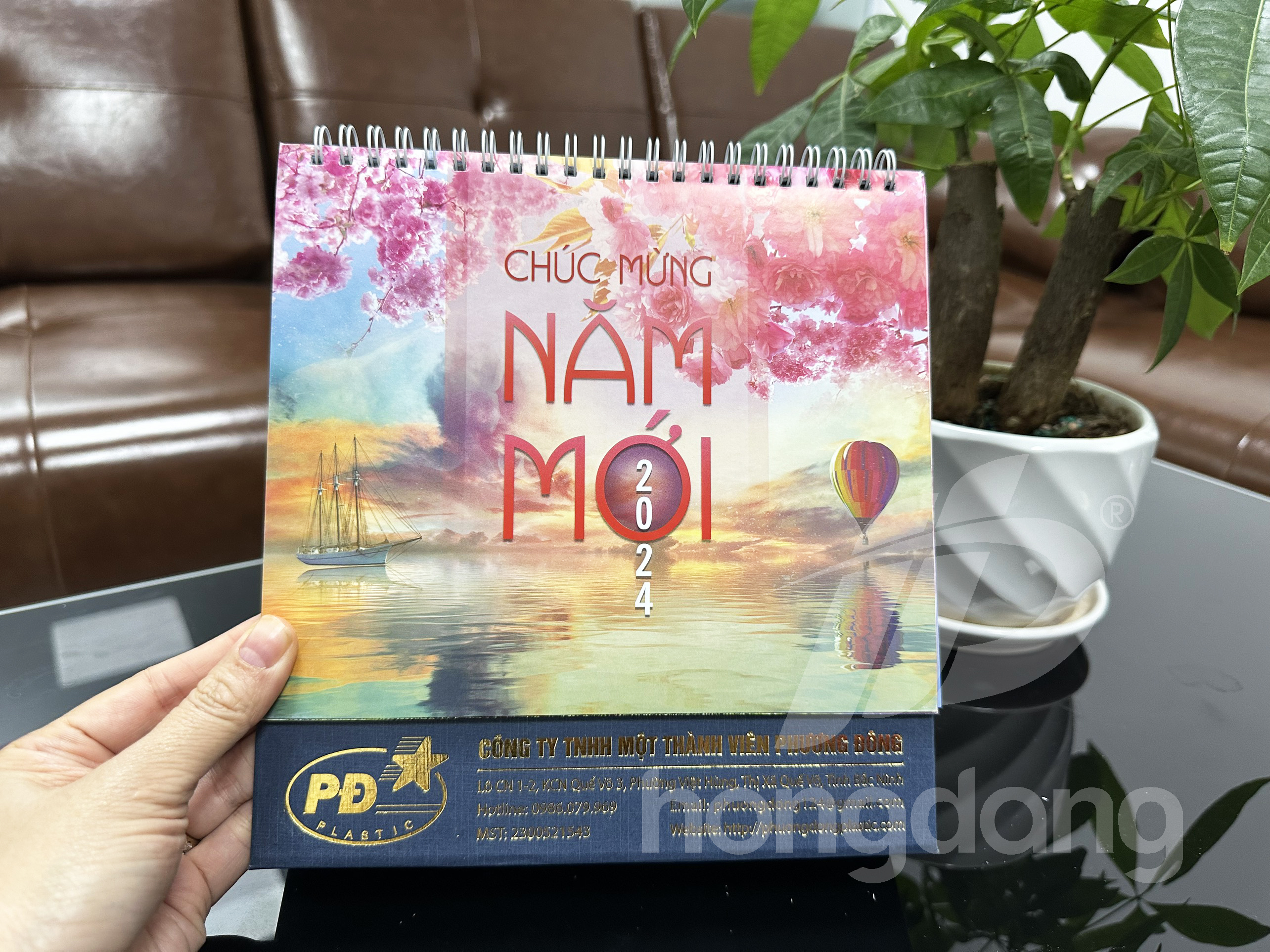 in-lich-tet-2024-85-