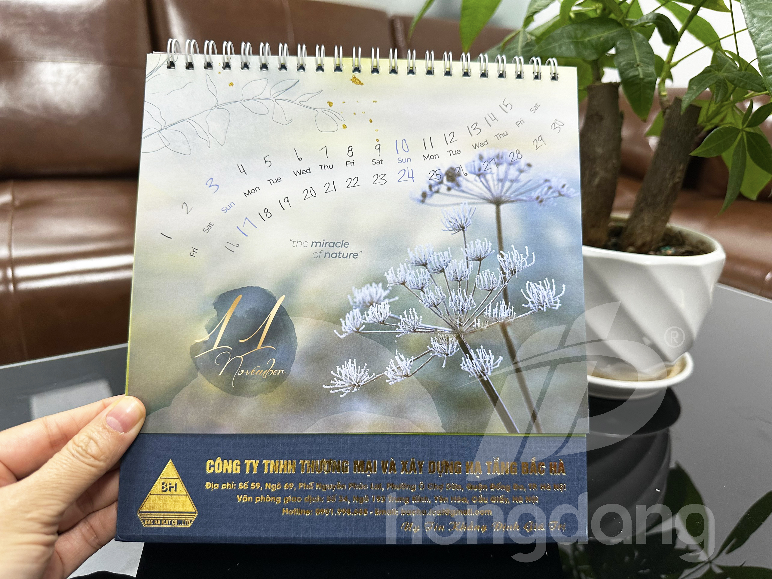 in-lich-tet-2024-87-