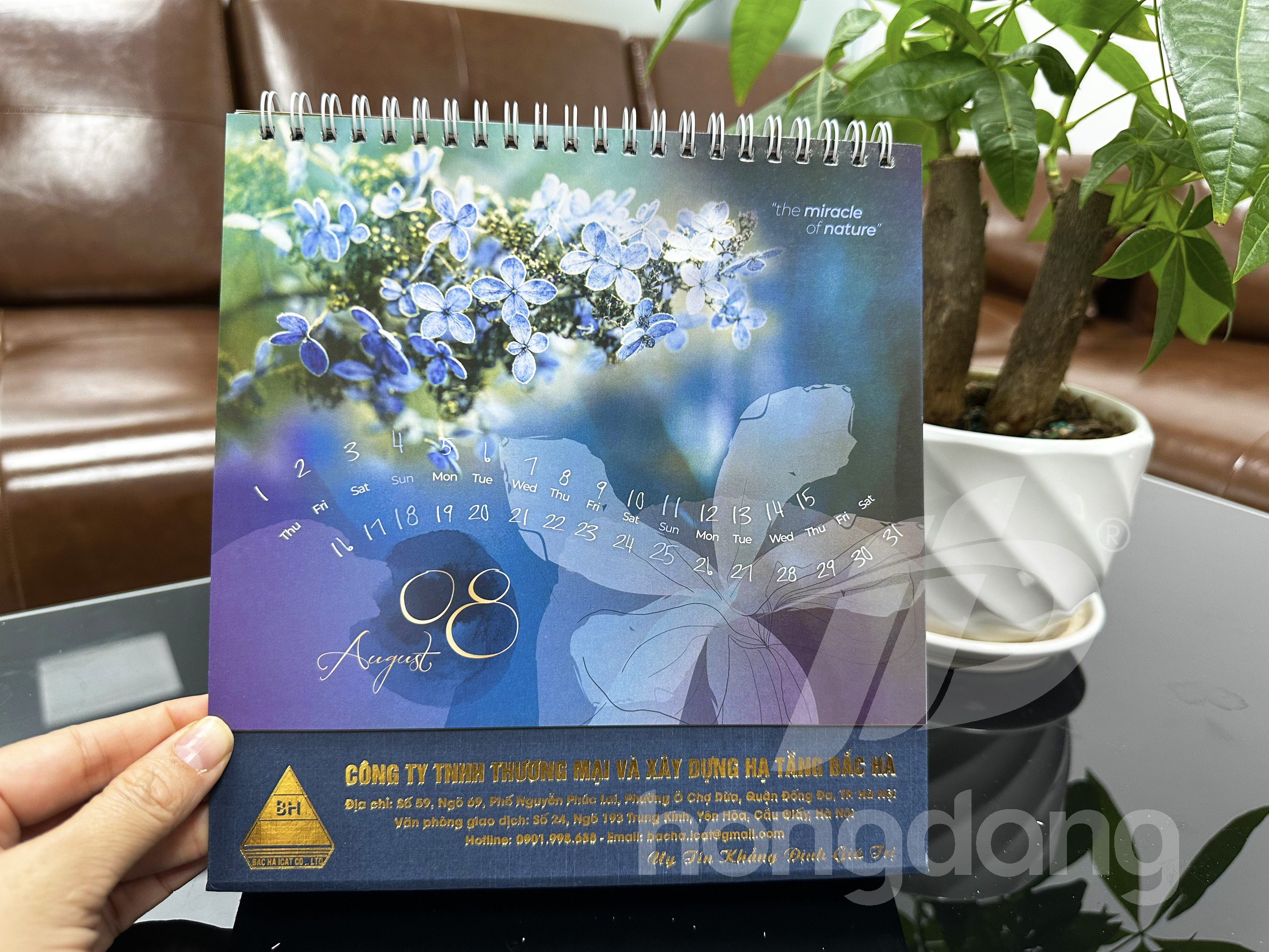 in-lich-tet-2024-88-