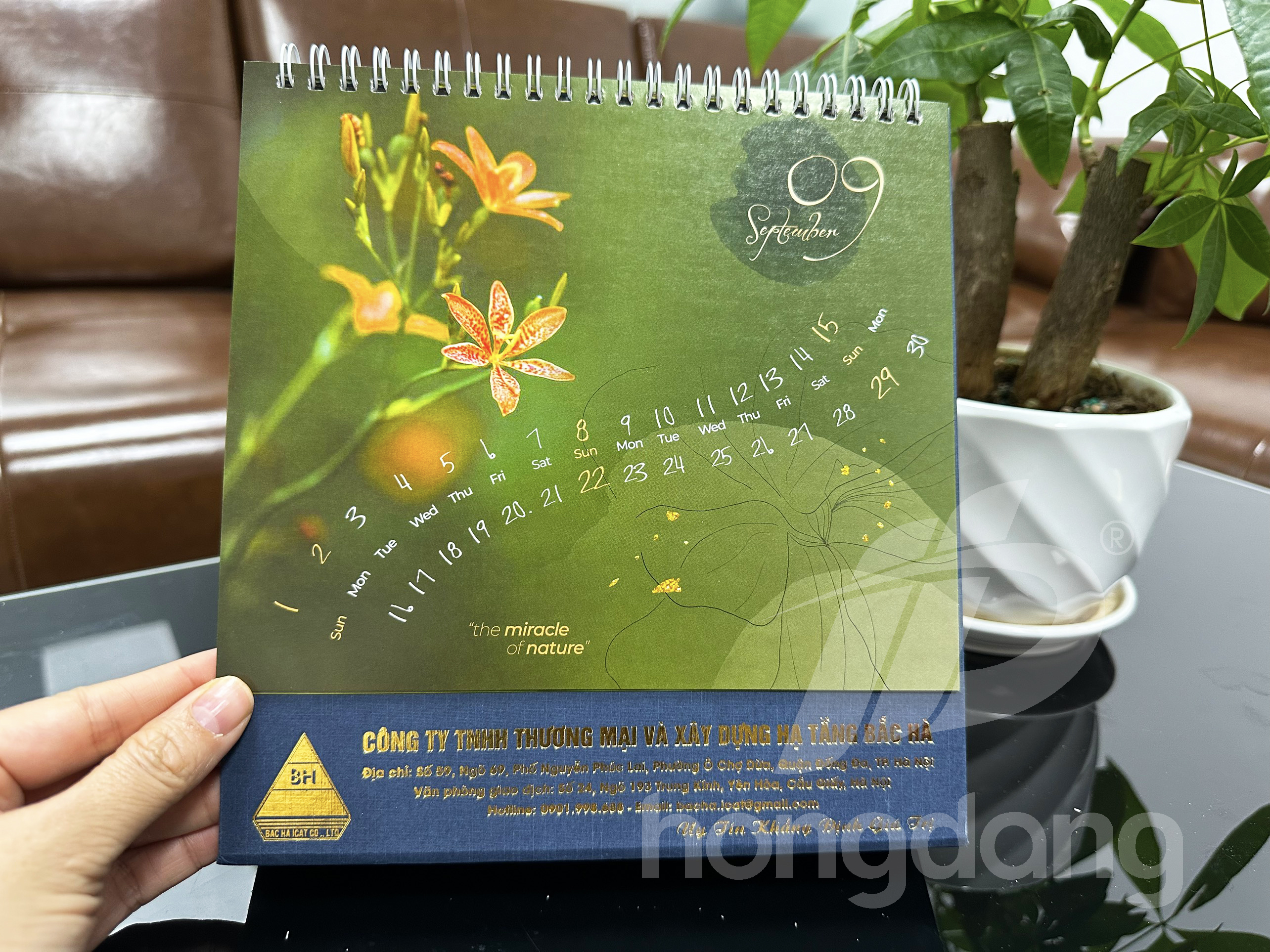 in-lich-tet-2024-89-