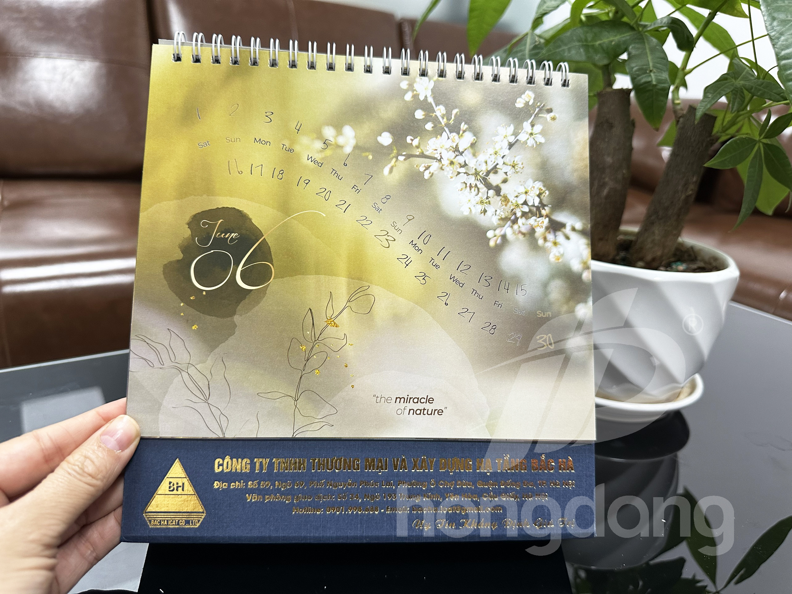 in-lich-tet-2024-91-