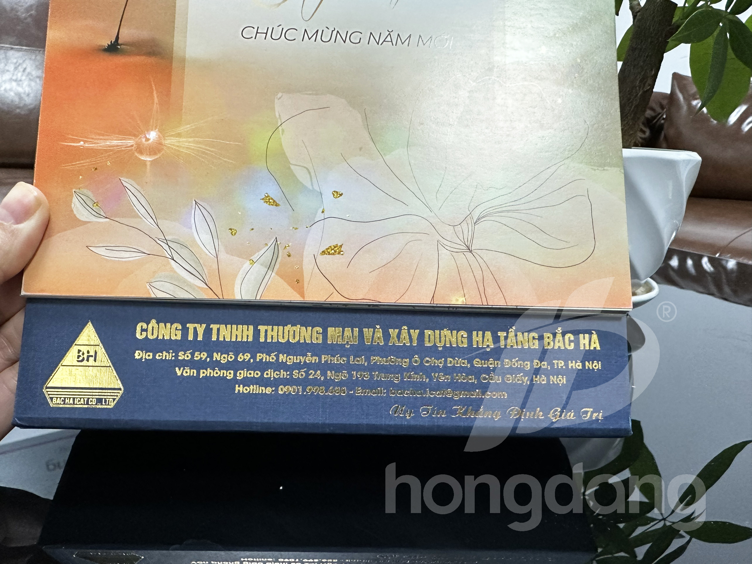 in-lich-tet-2024-93-