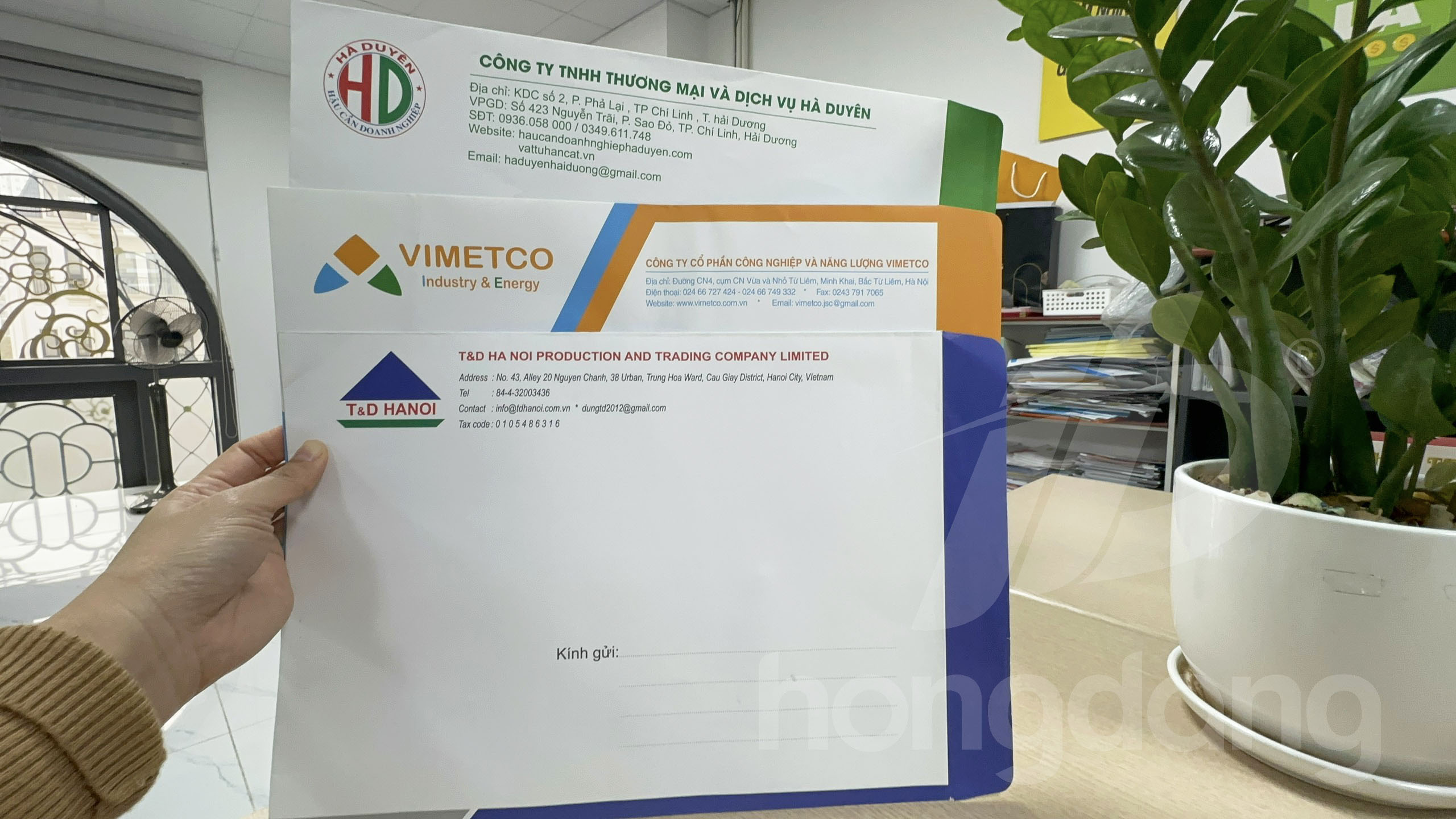 Gợi Ý Mẫu Phong Bì Đẹp Theo Từng Loại Hình Doanh Nghiệp