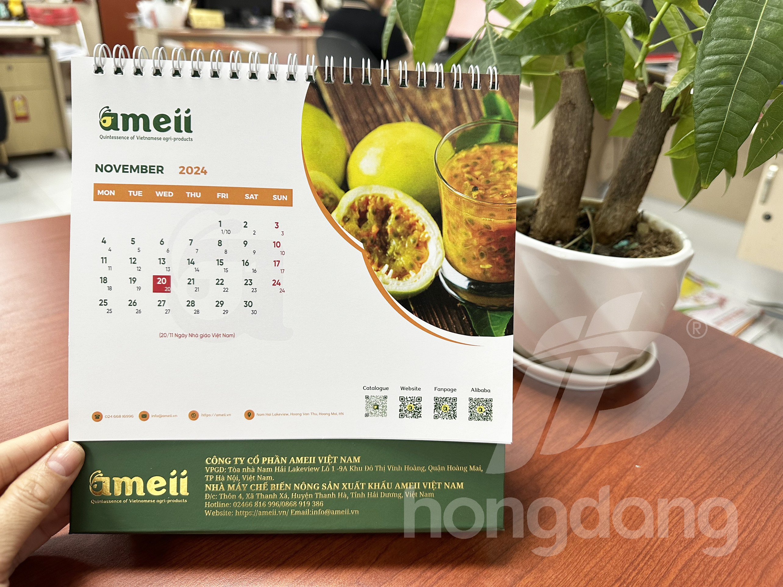 lich-de-ban-chu-a-emeii-13-