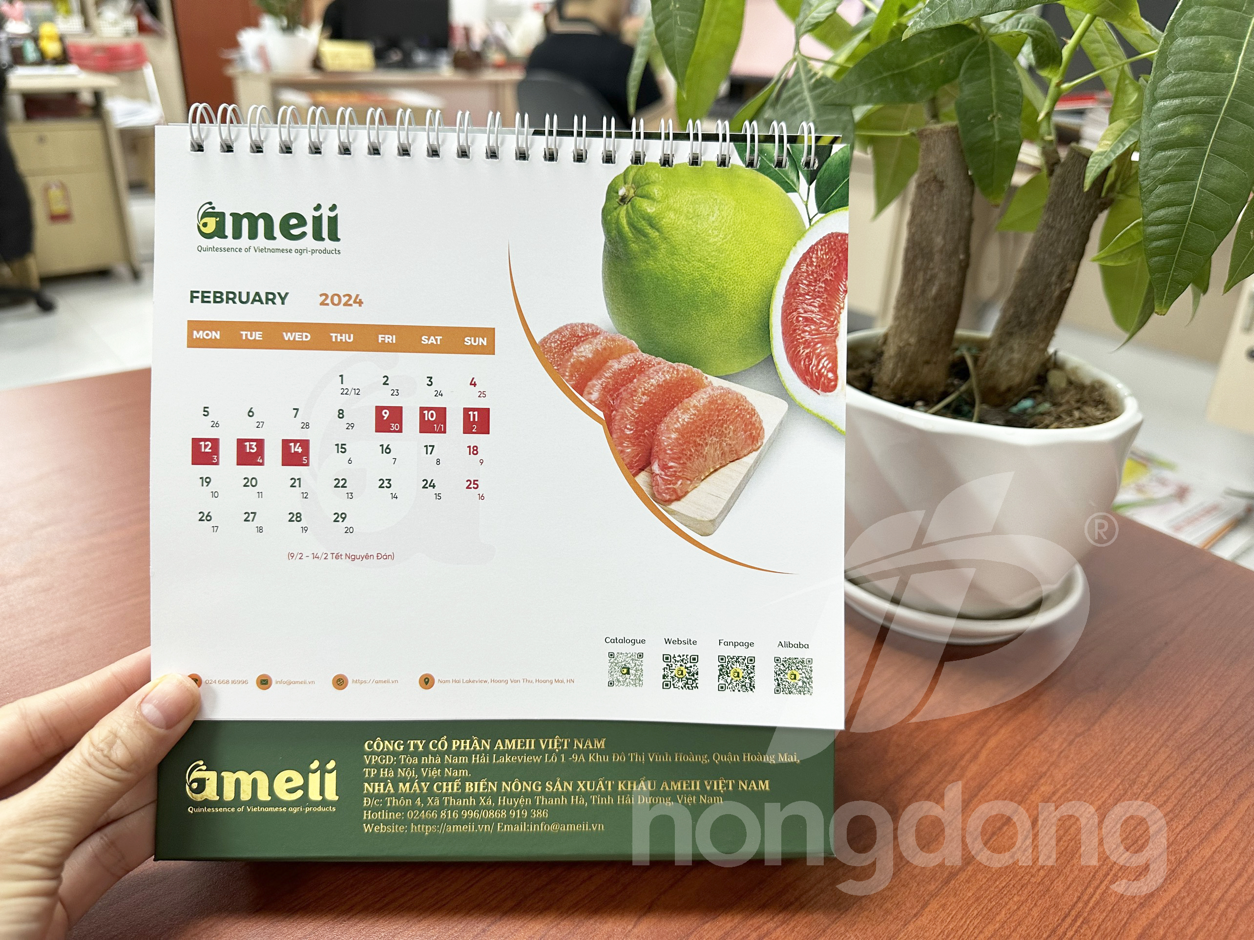 lich-de-ban-chu-a-emeii-15-