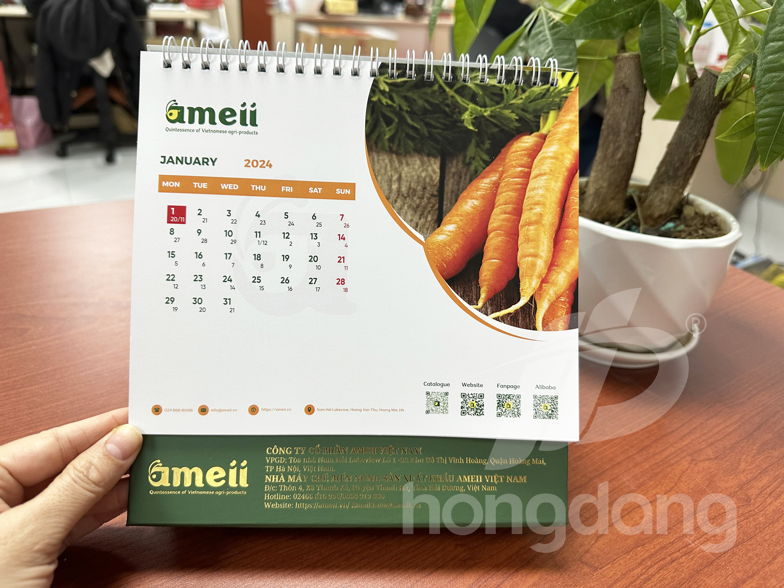 lich-de-ban-chu-a-emeii-16-