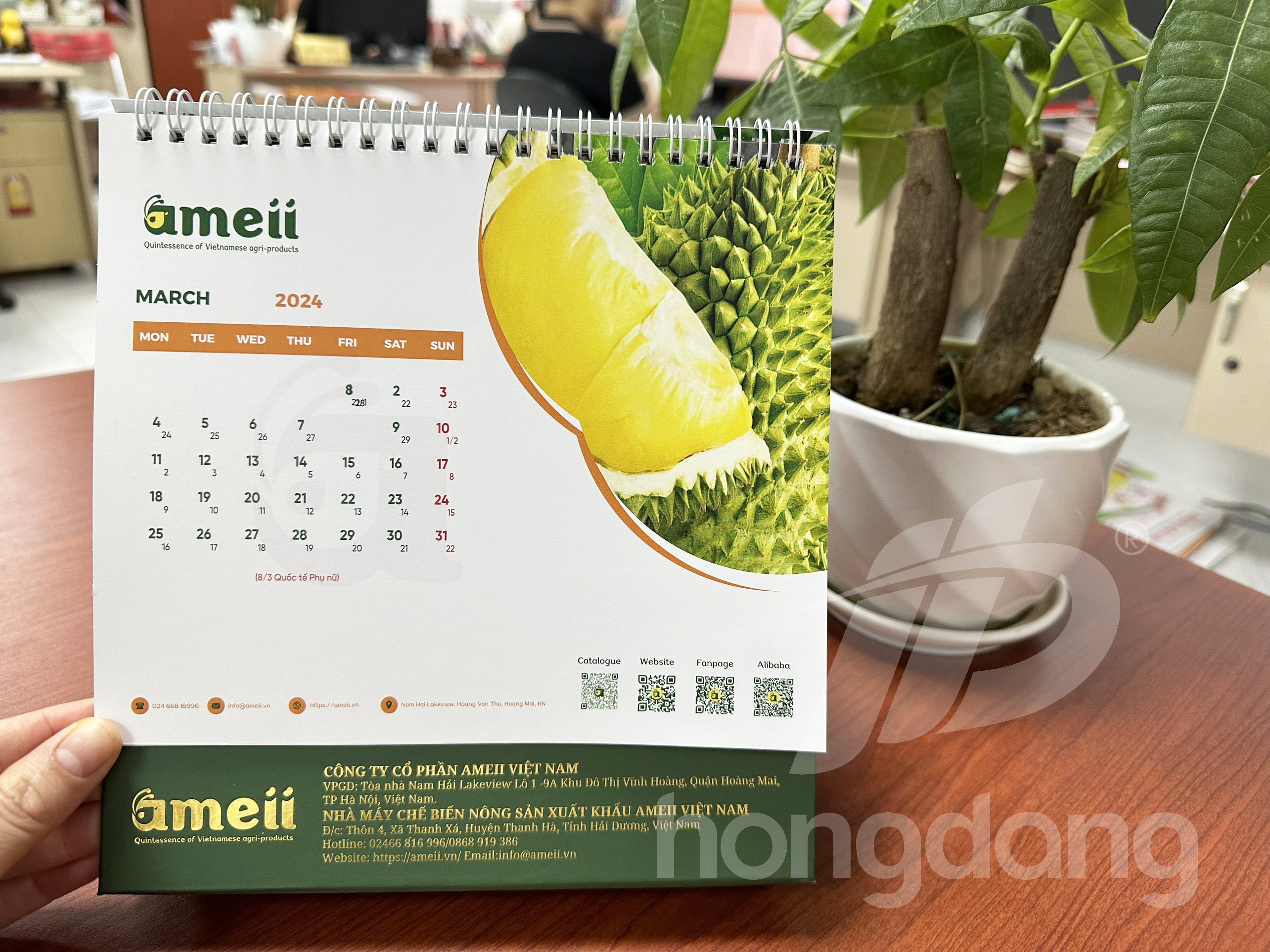 lich-de-ban-chu-a-emeii-17-