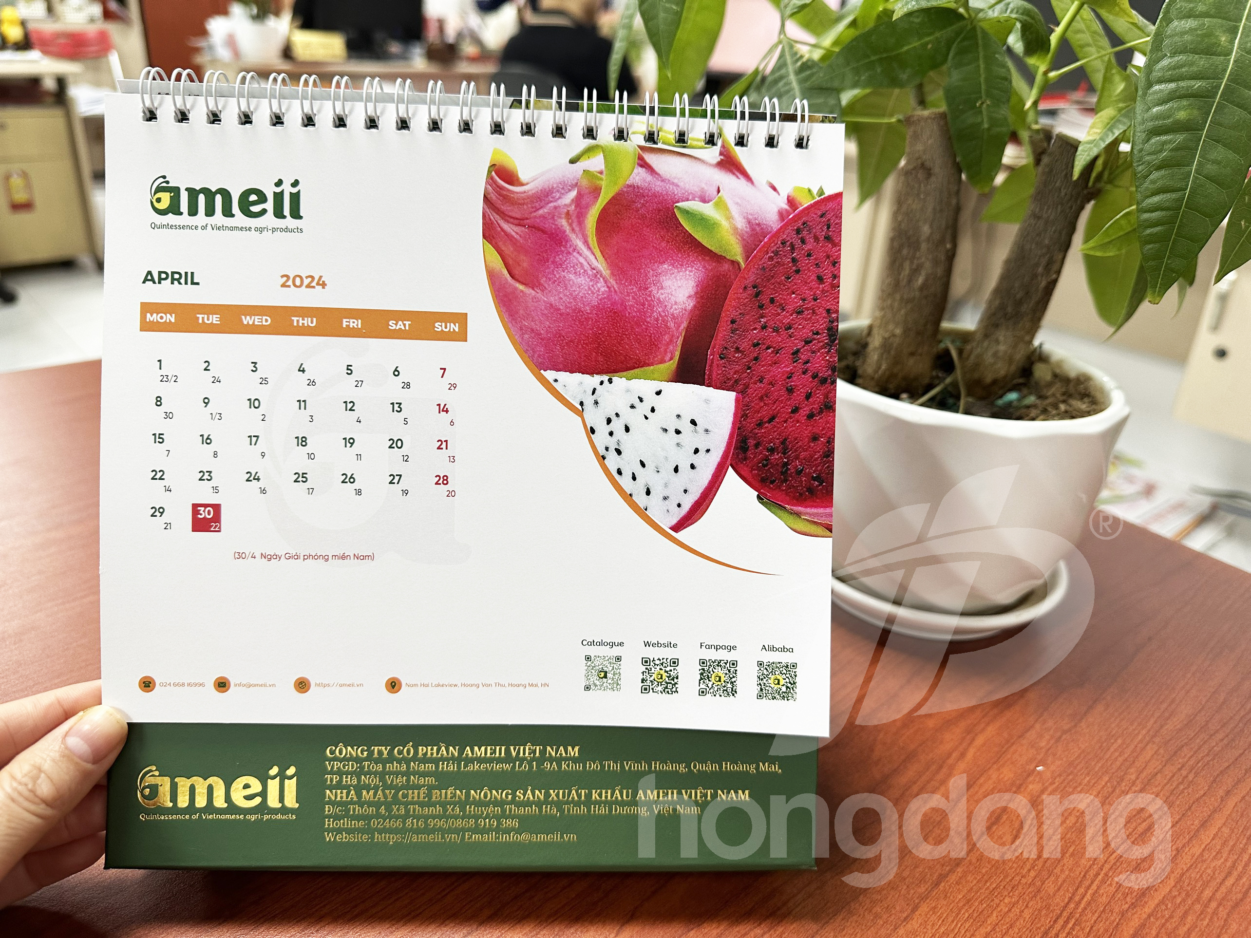 lich-de-ban-chu-a-emeii-18-