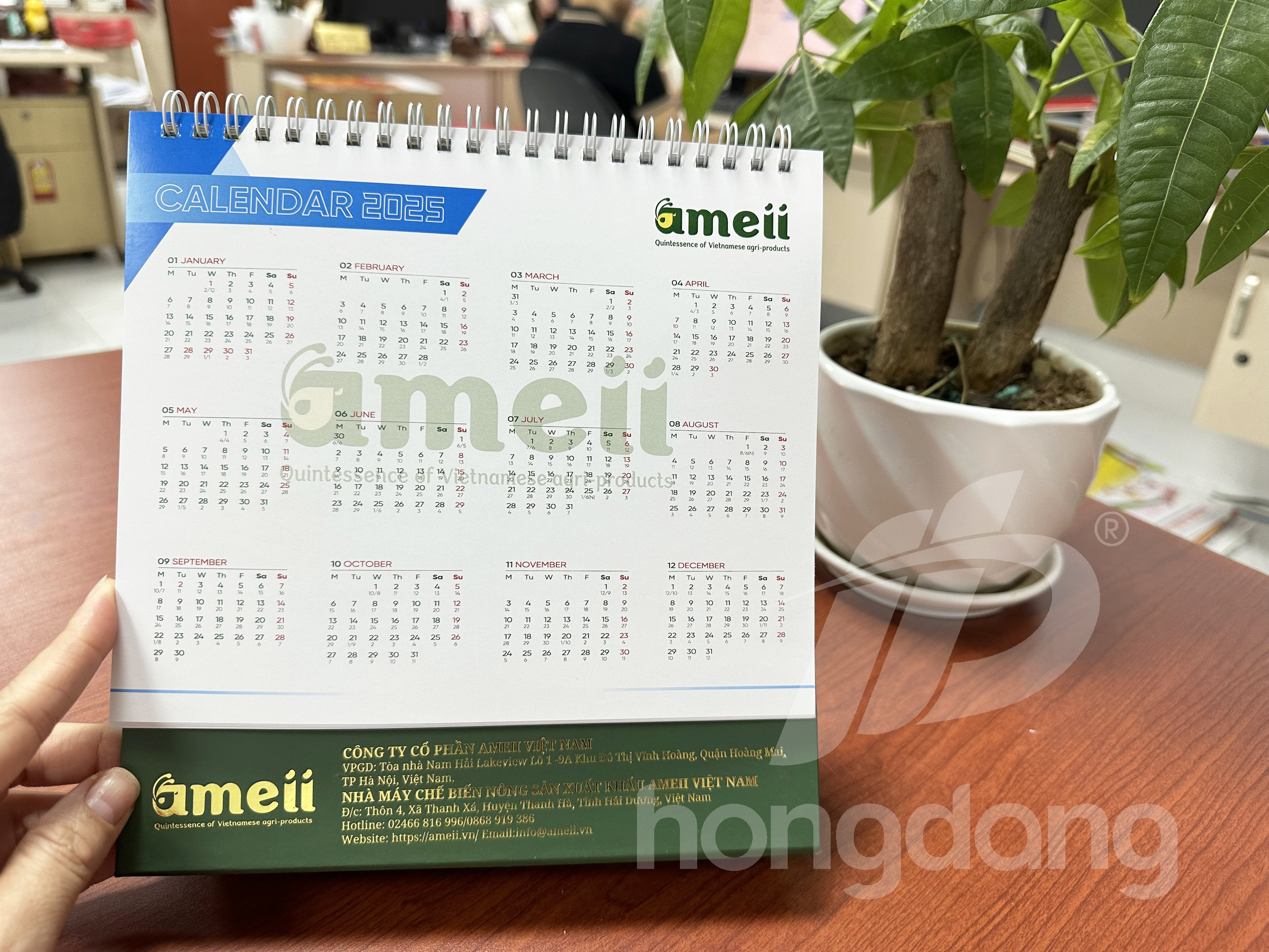 lich-de-ban-chu-a-emeii-20-