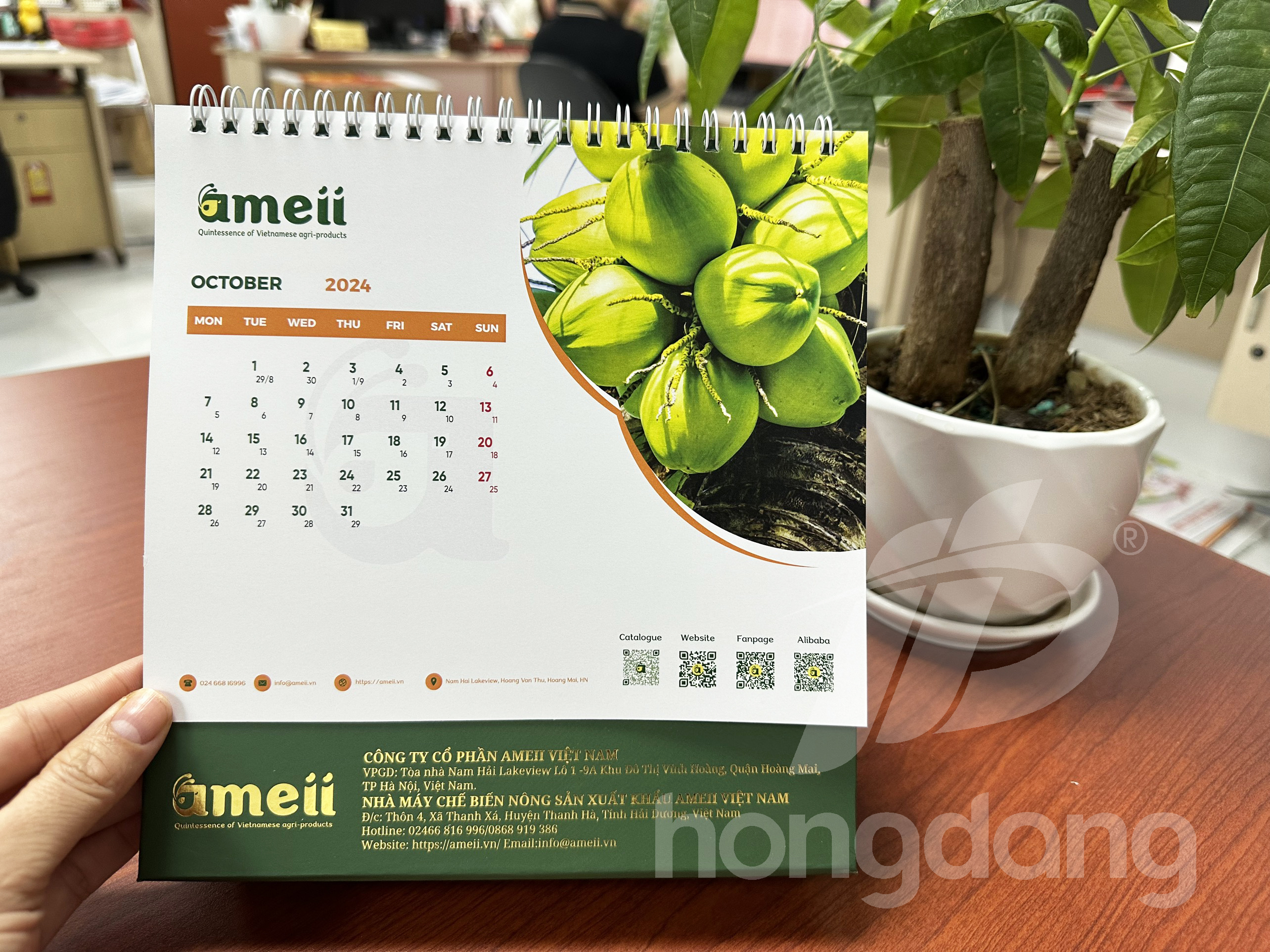 lich-de-ban-chu-a-emeii-7-