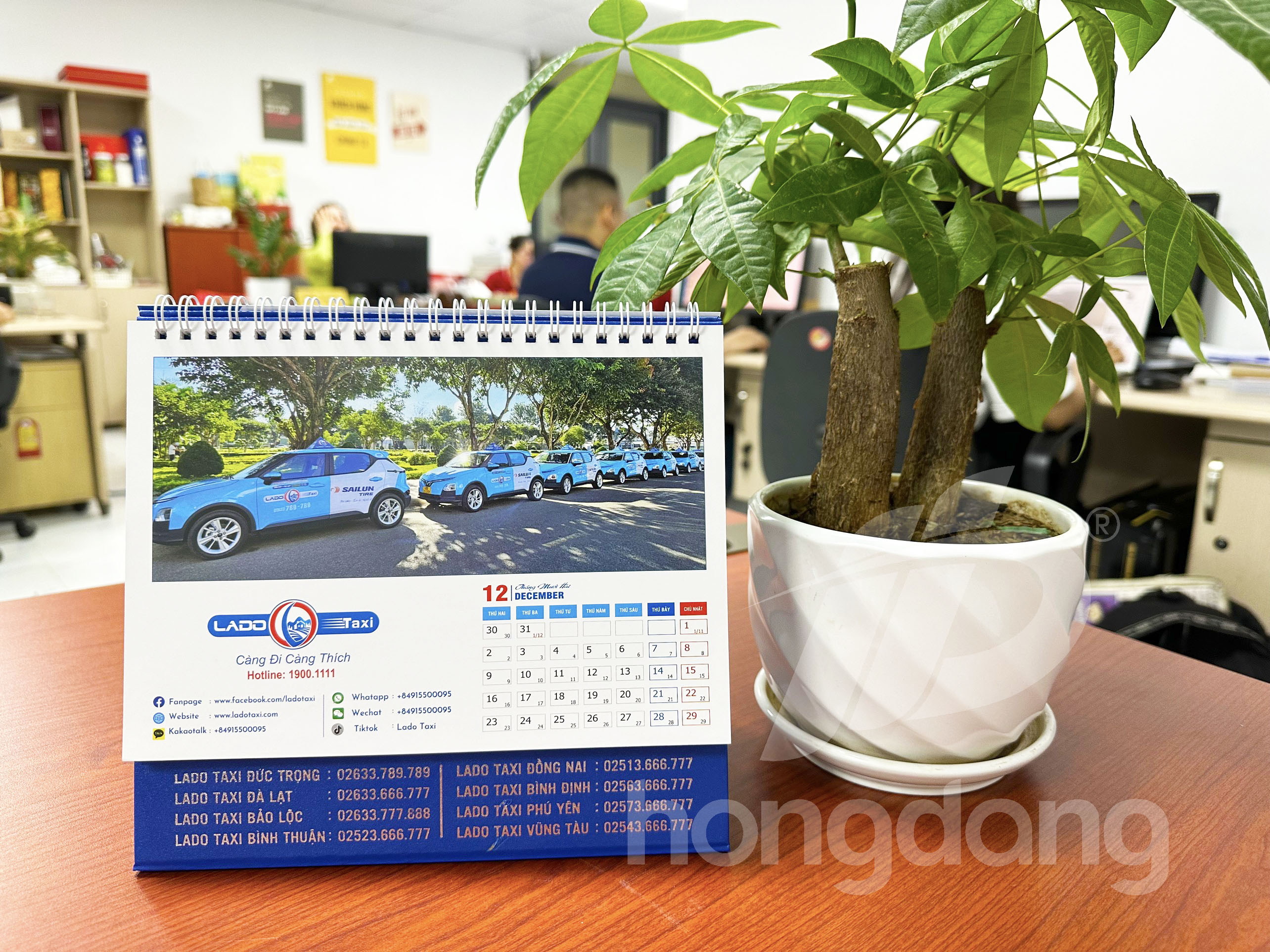 lich-de-ban-doc-quyen-lado-taxi-6-