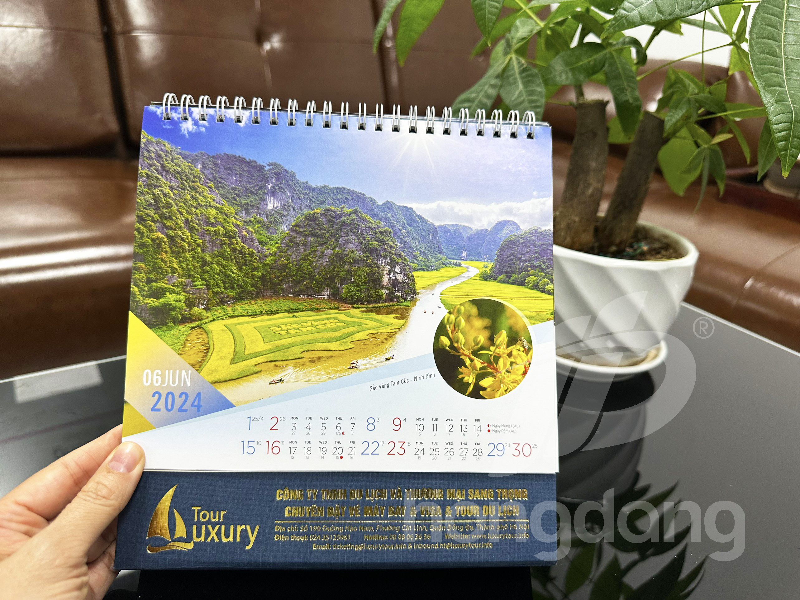 lich-de-ban-phoi-co-san-10-