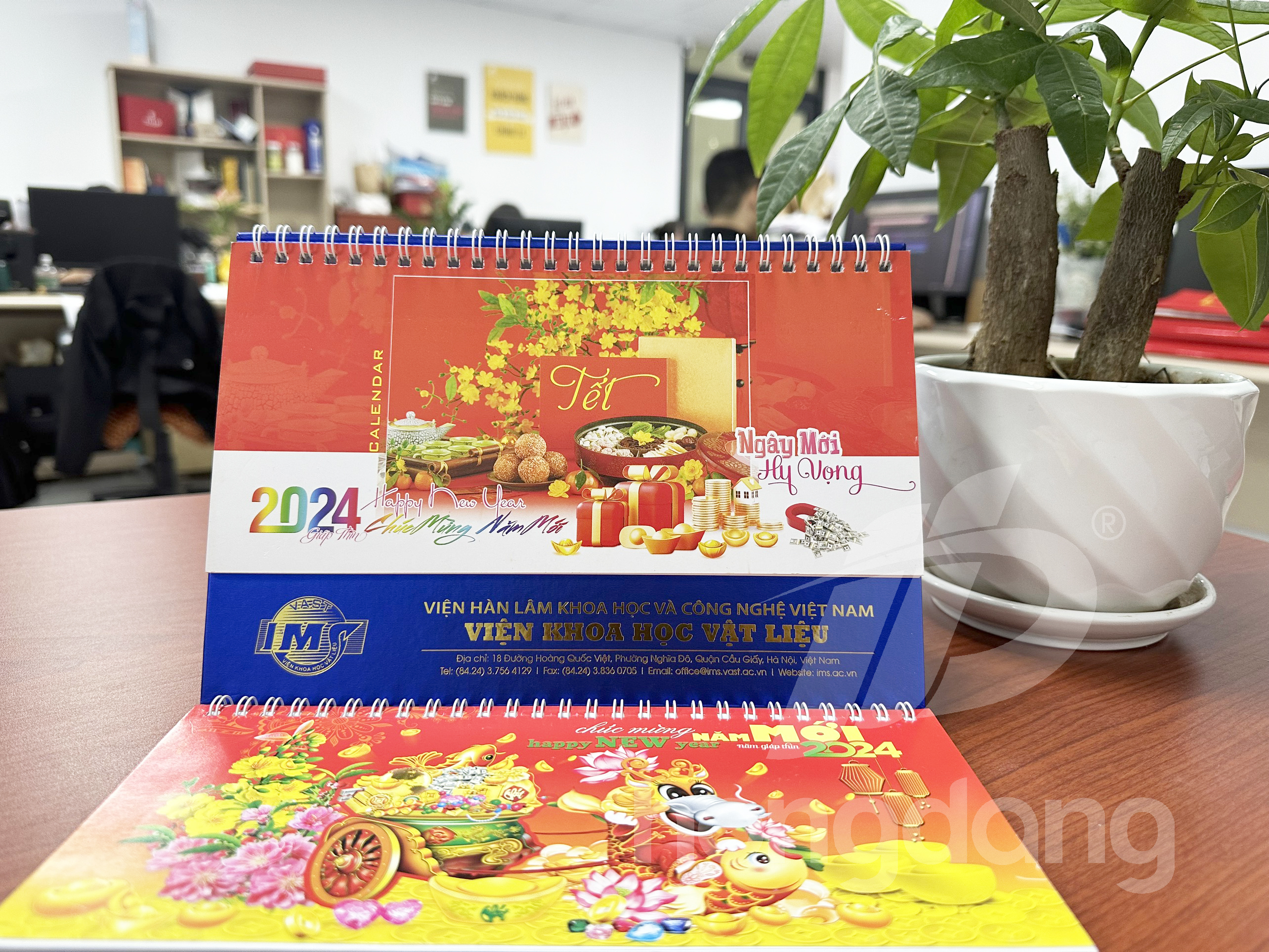 lich-de-ban-phoi-co-san-10-