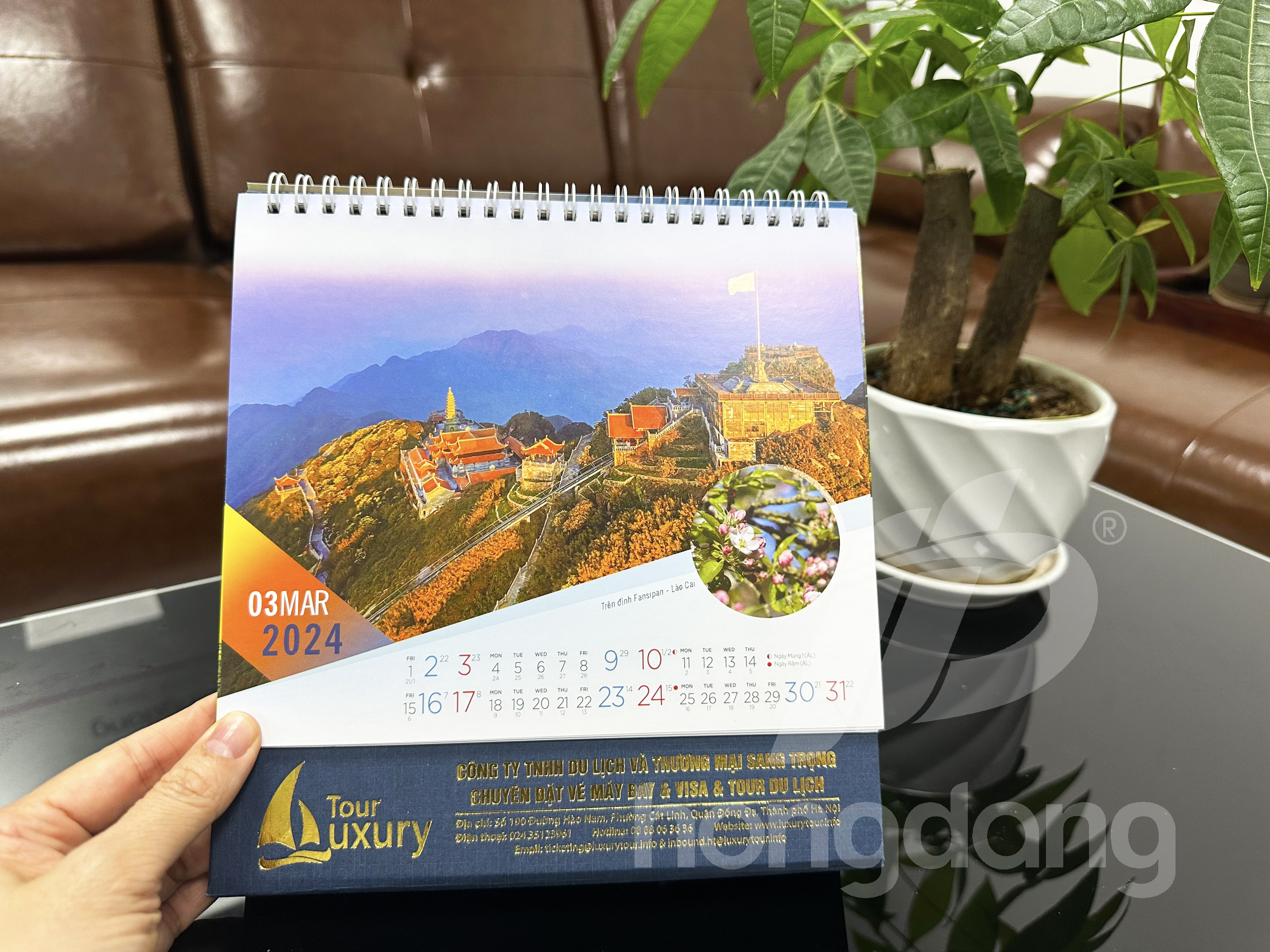 lich-de-ban-phoi-co-san-11-