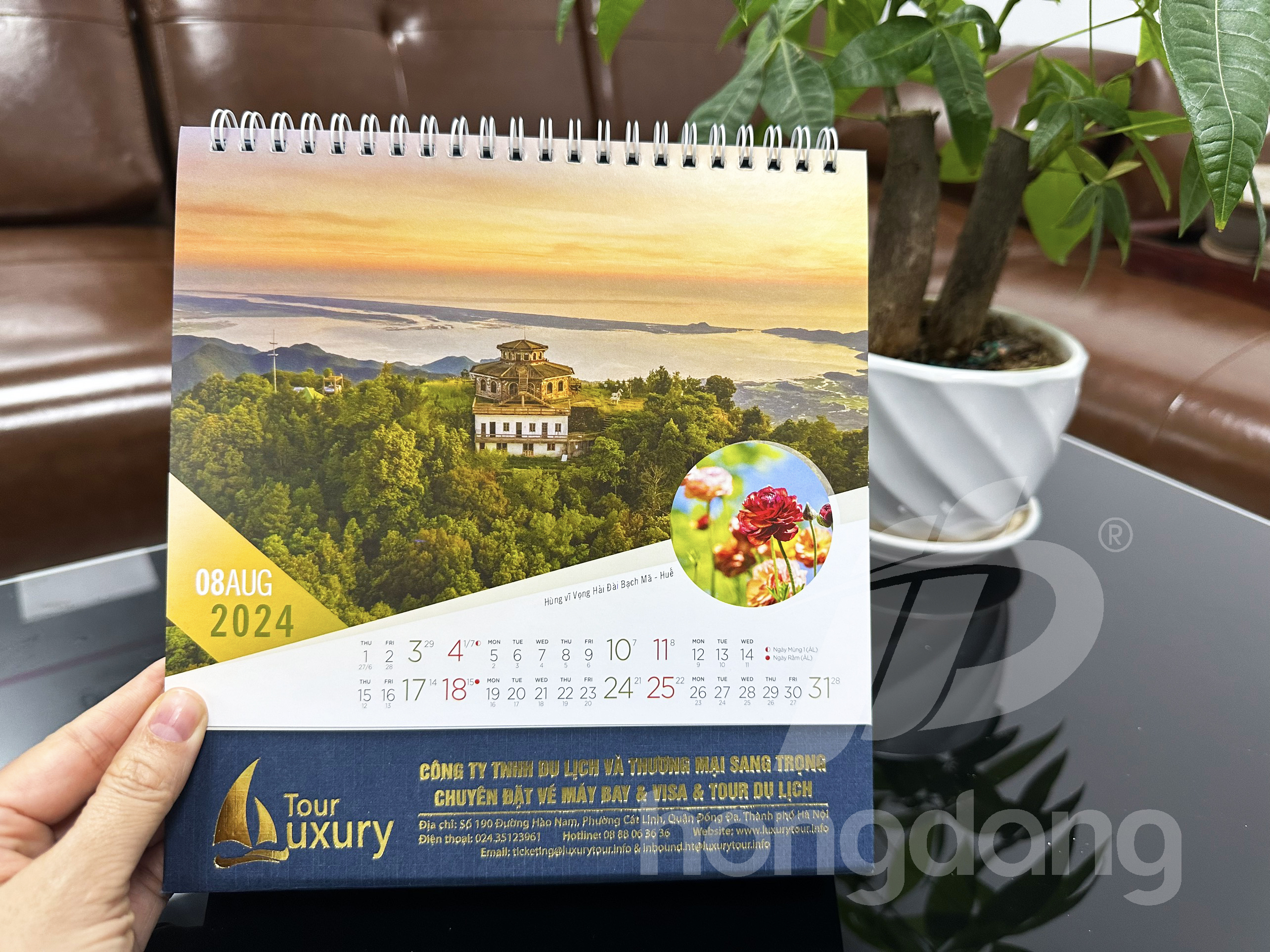 lich-de-ban-phoi-co-san-12-