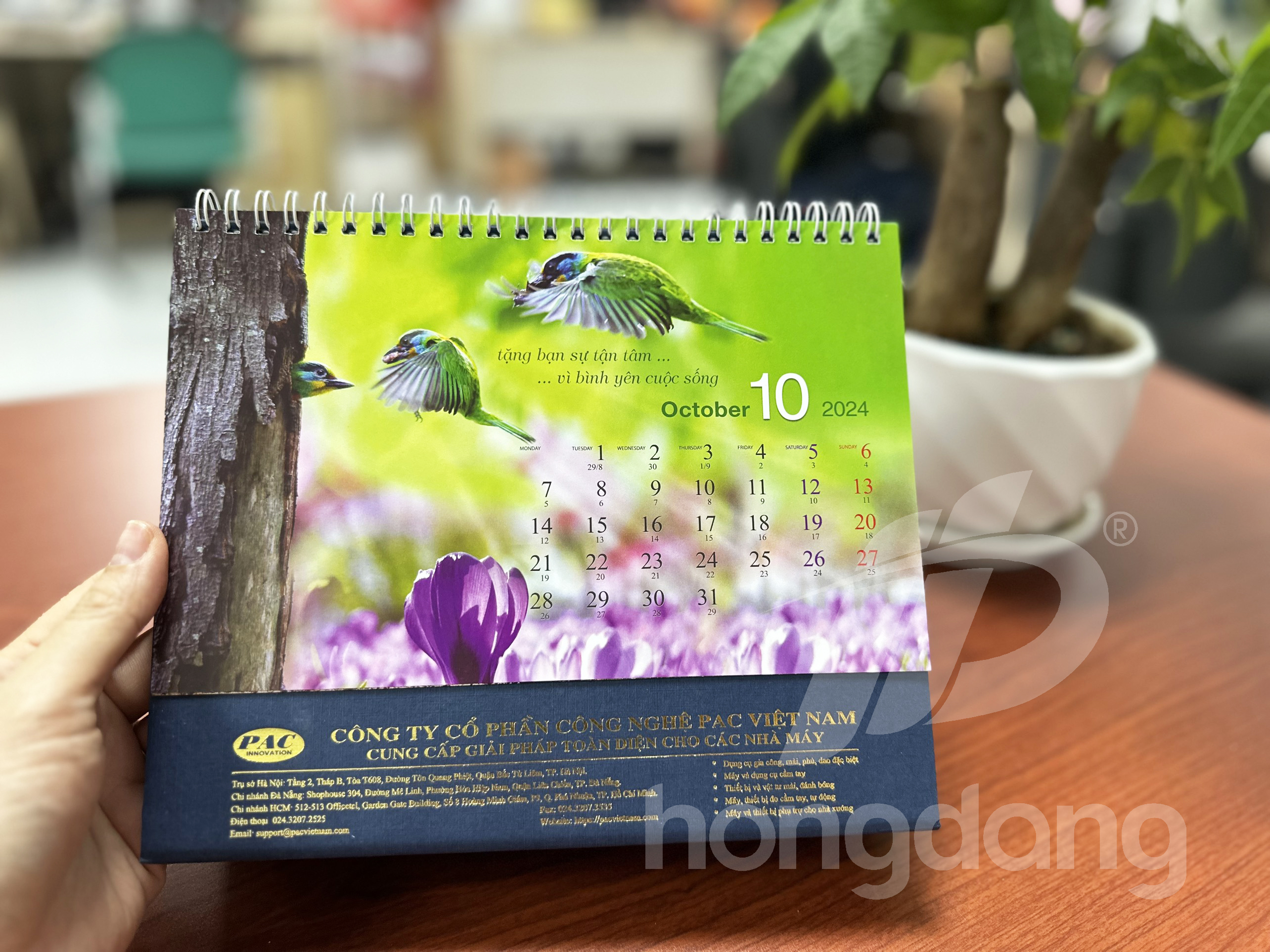 lich-de-ban-phoi-co-san-15-