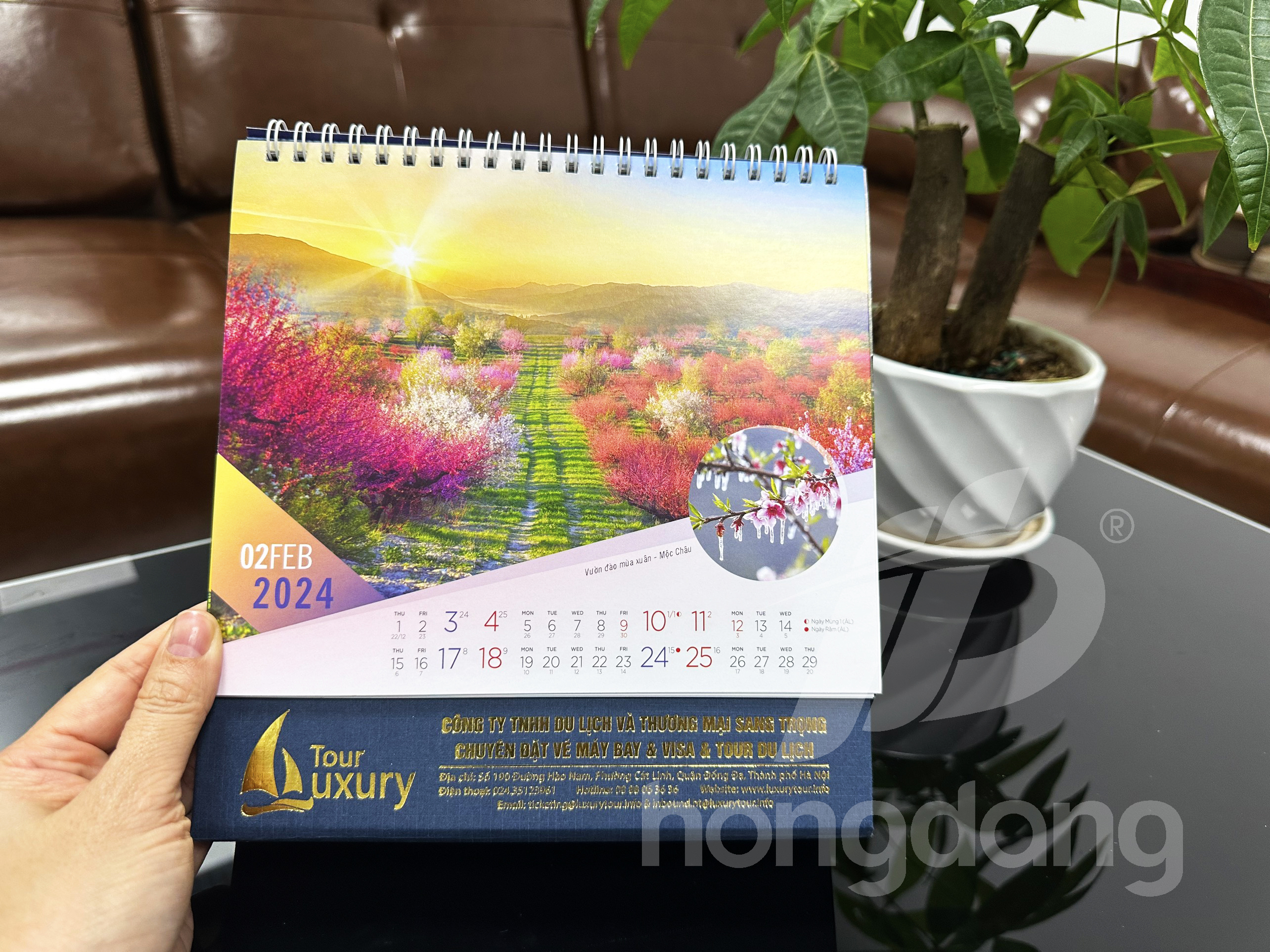 lich-de-ban-phoi-co-san-16-