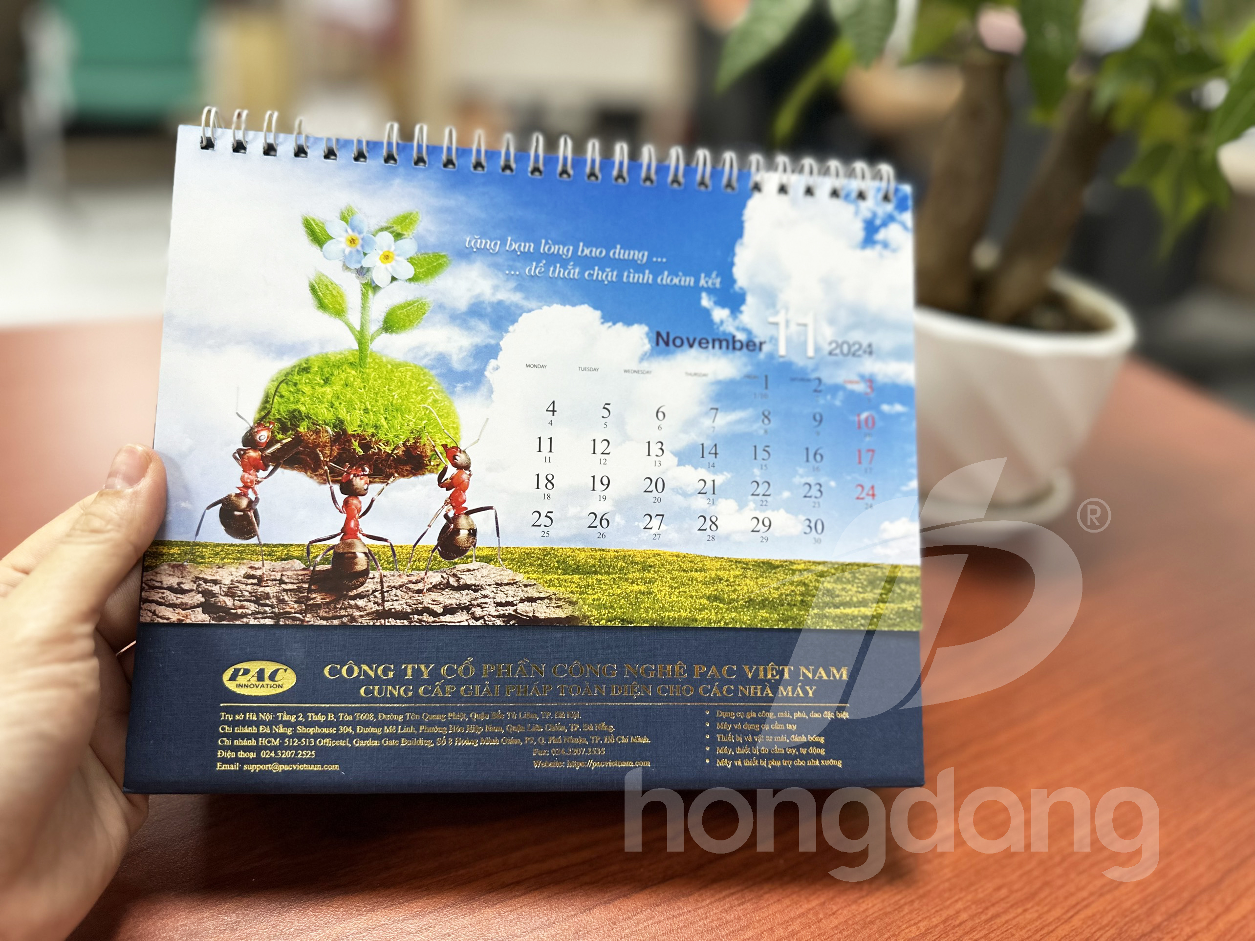 lich-de-ban-phoi-co-san-16-