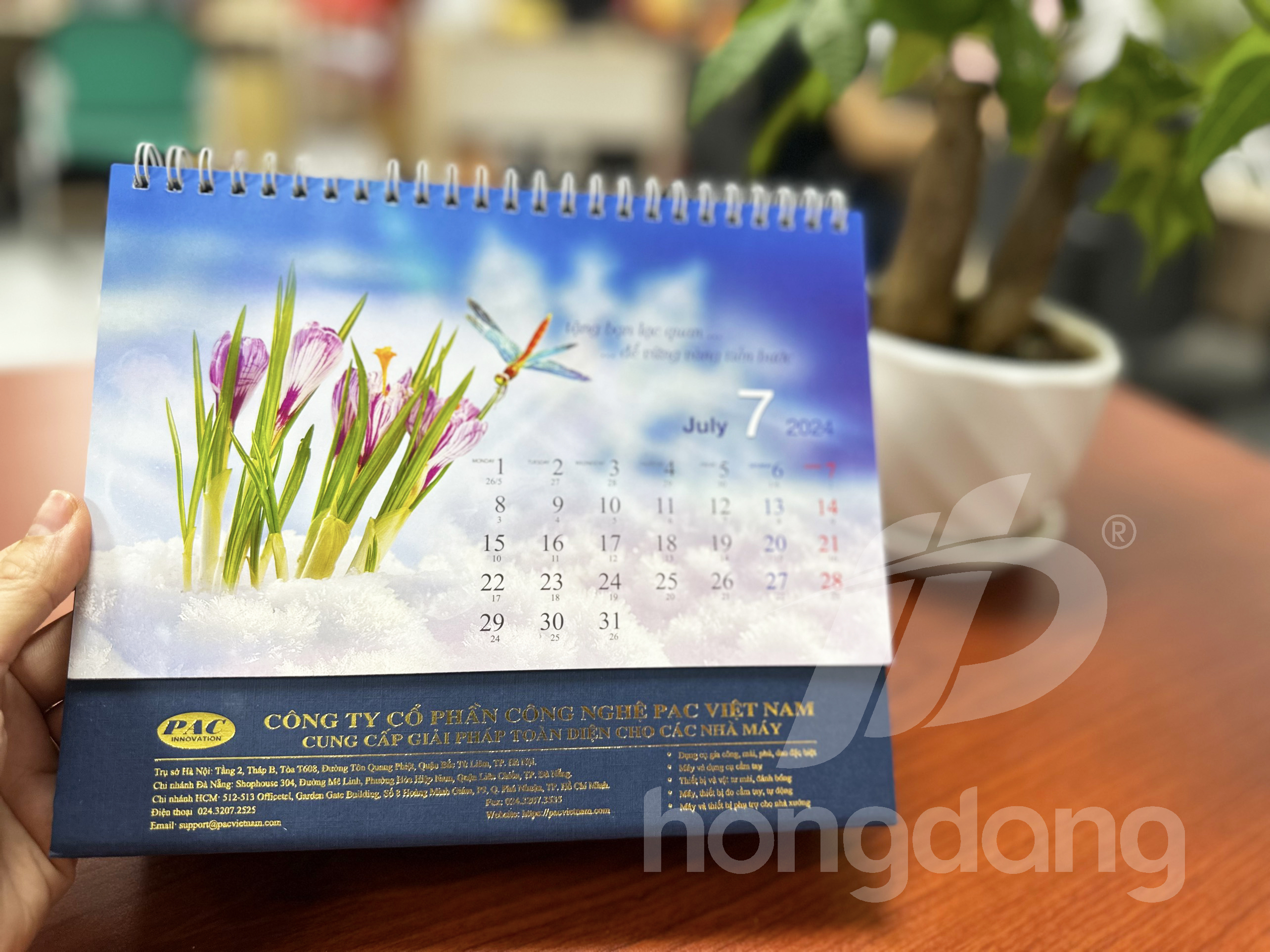 lich-de-ban-phoi-co-san-17-