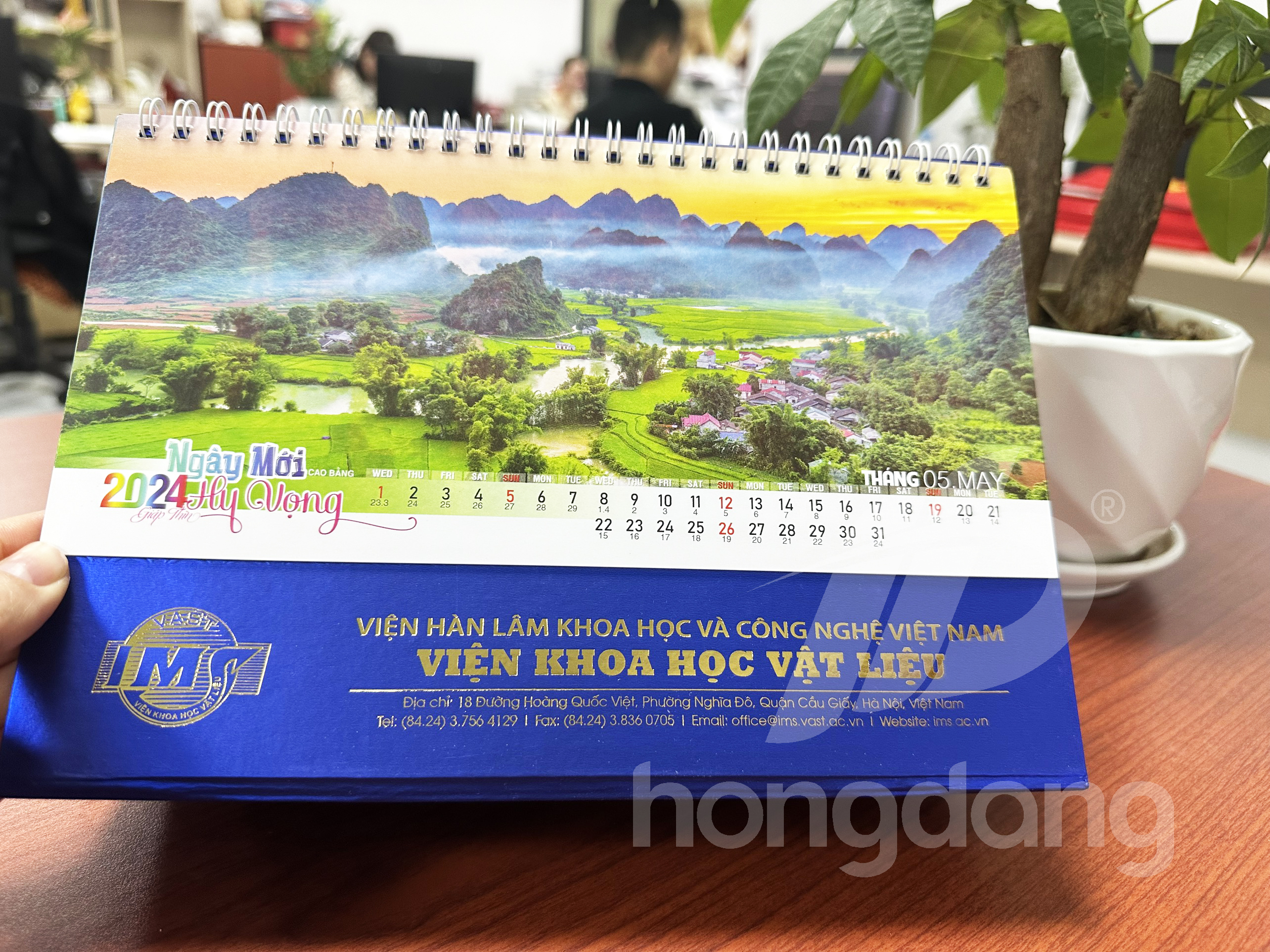 lich-de-ban-phoi-co-san-2-