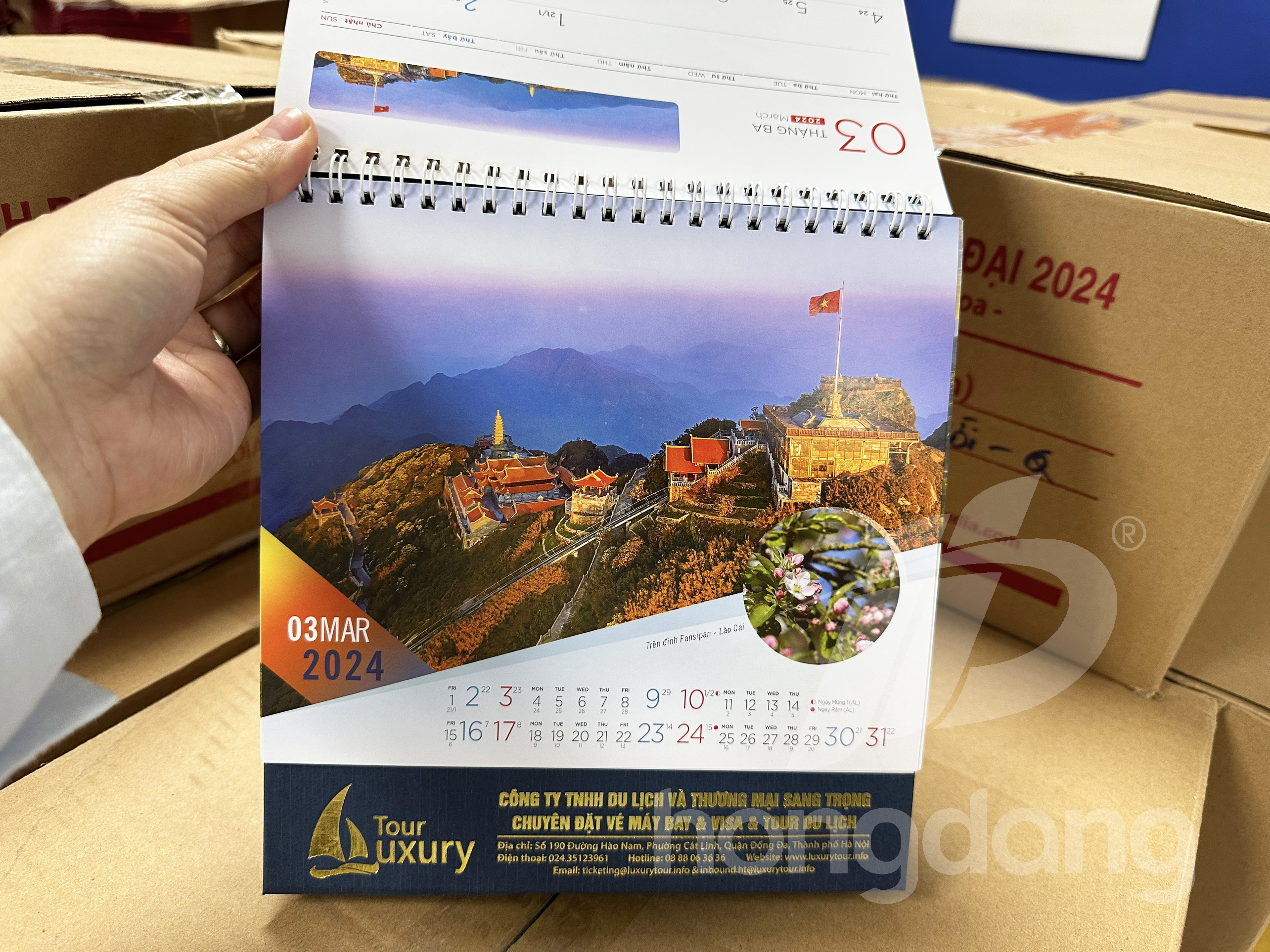 lich-de-ban-phoi-co-san-20-