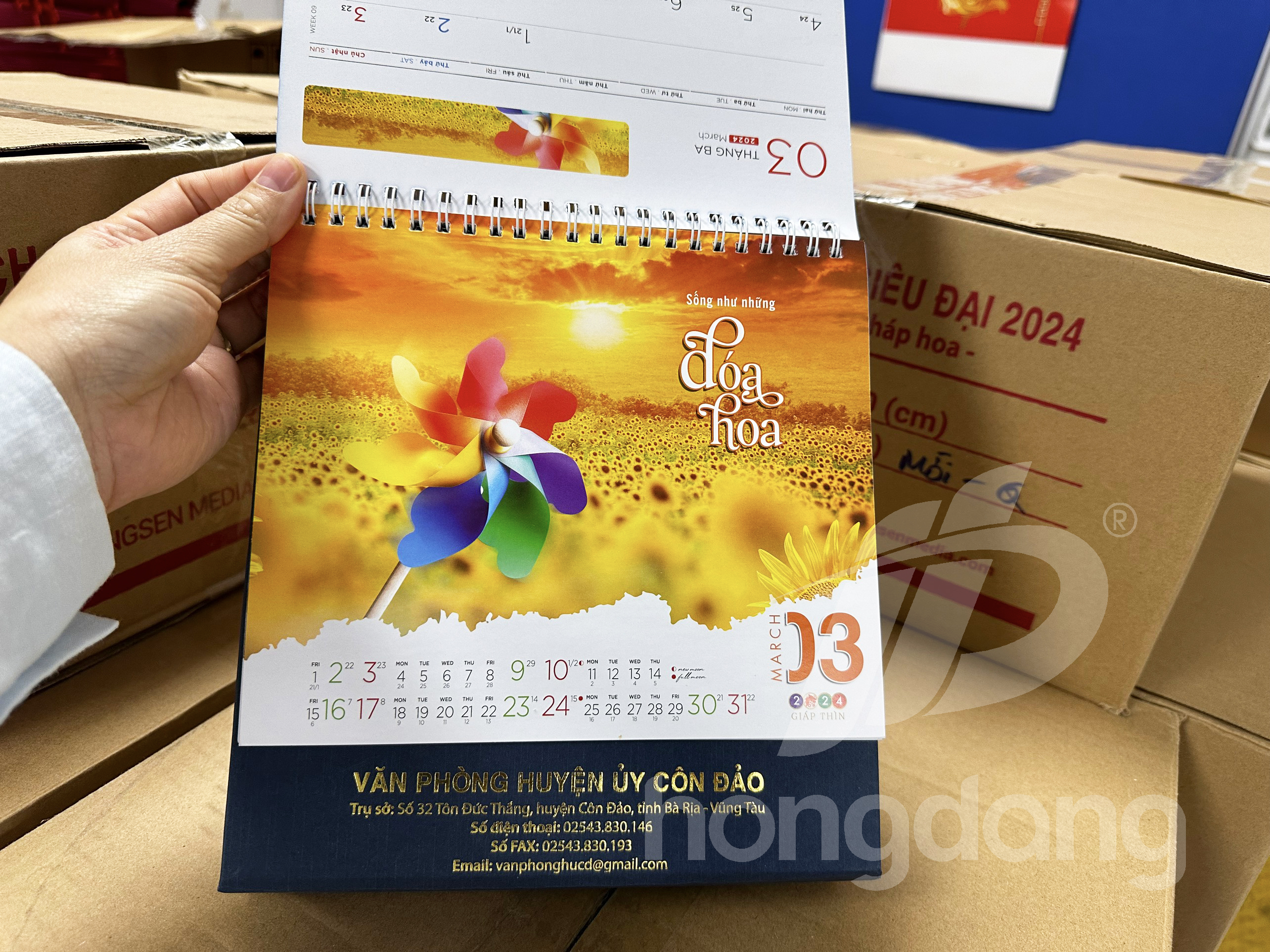 lich-de-ban-phoi-co-san-25-