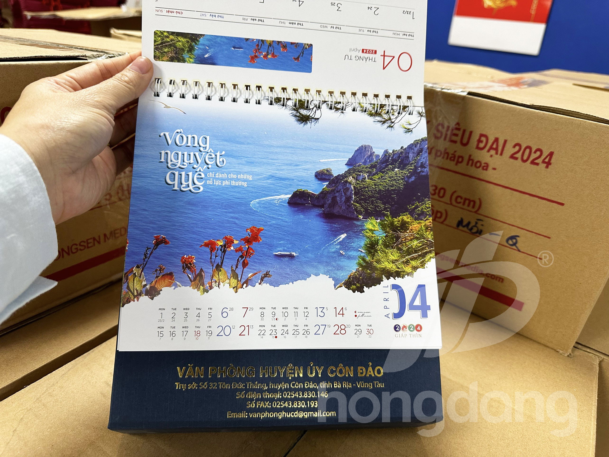 lich-de-ban-phoi-co-san-27-