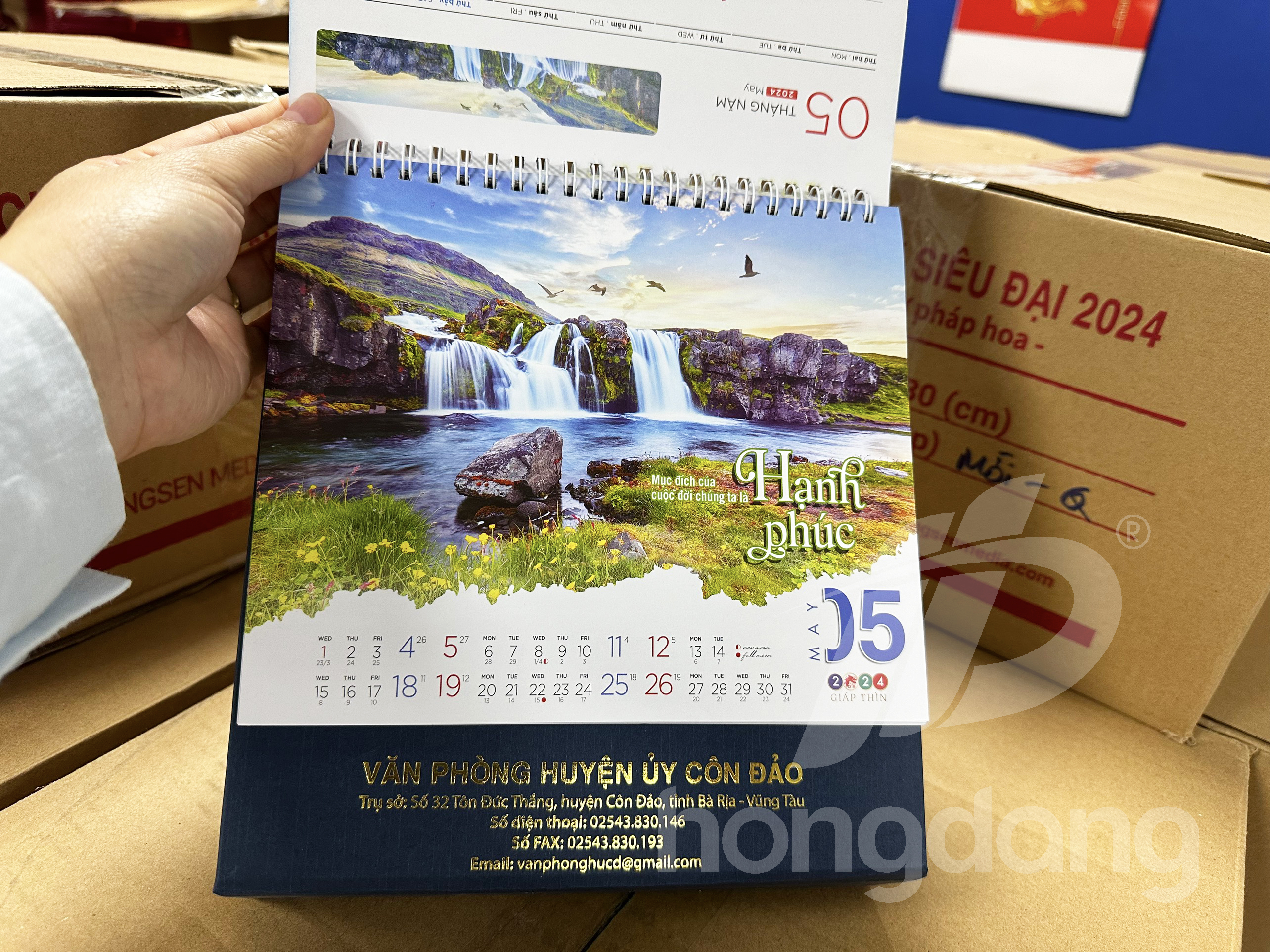 lich-de-ban-phoi-co-san-28-