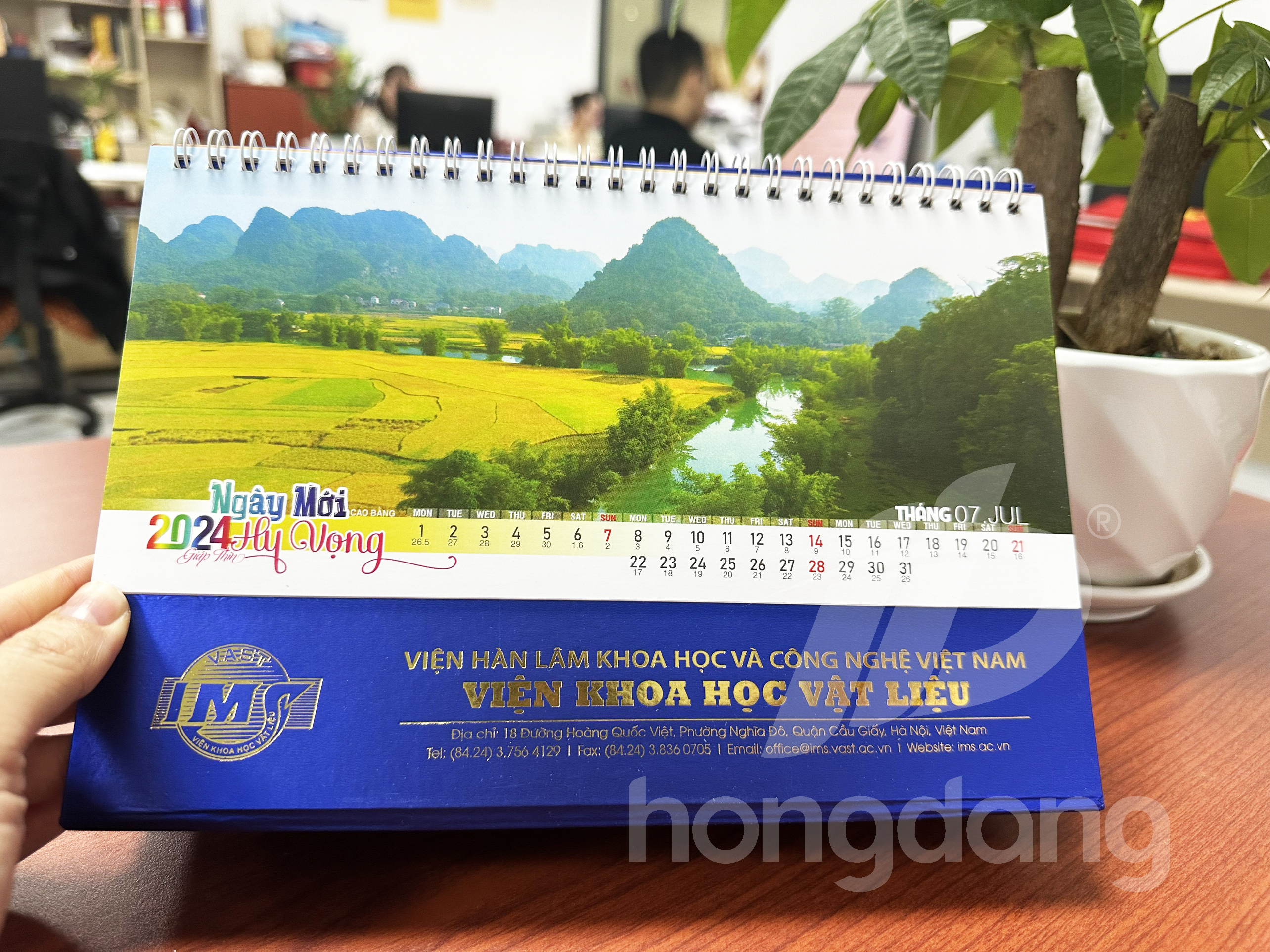 lich-de-ban-phoi-co-san-5-